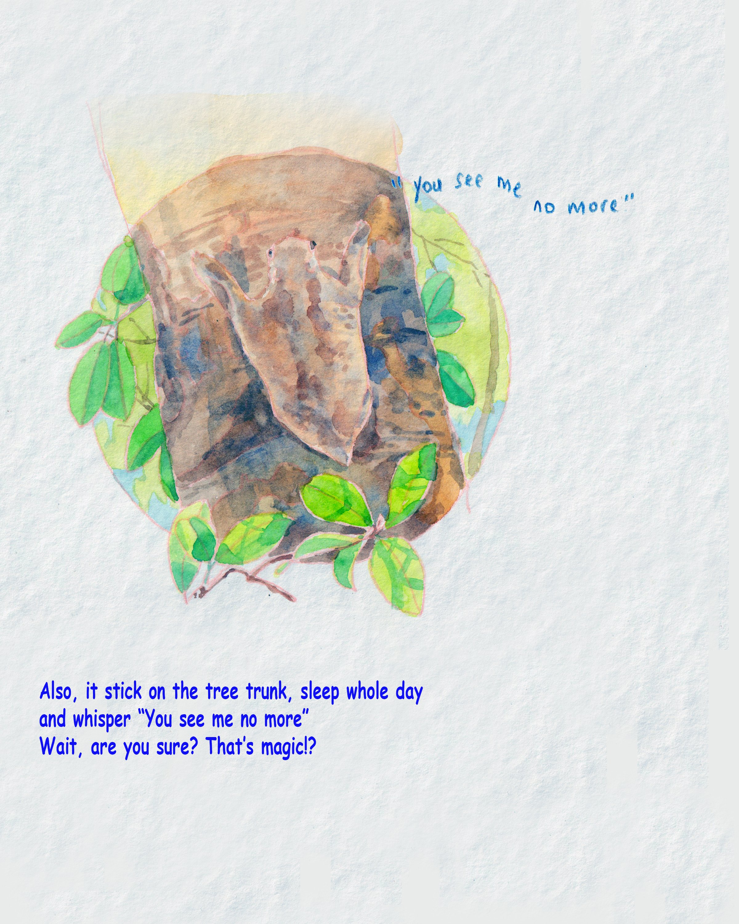 P4b.jpg