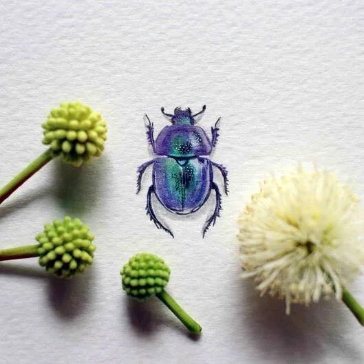 Scarab beetle. The scarab beetle was one of the most popular amulets in ancient Egypt because it was a symbol of the sun god Ra. Along with embodying the concept of existence, development, and growth, the scarab was revered for representing the cycle of life and death, and also perceived as a form of protection.