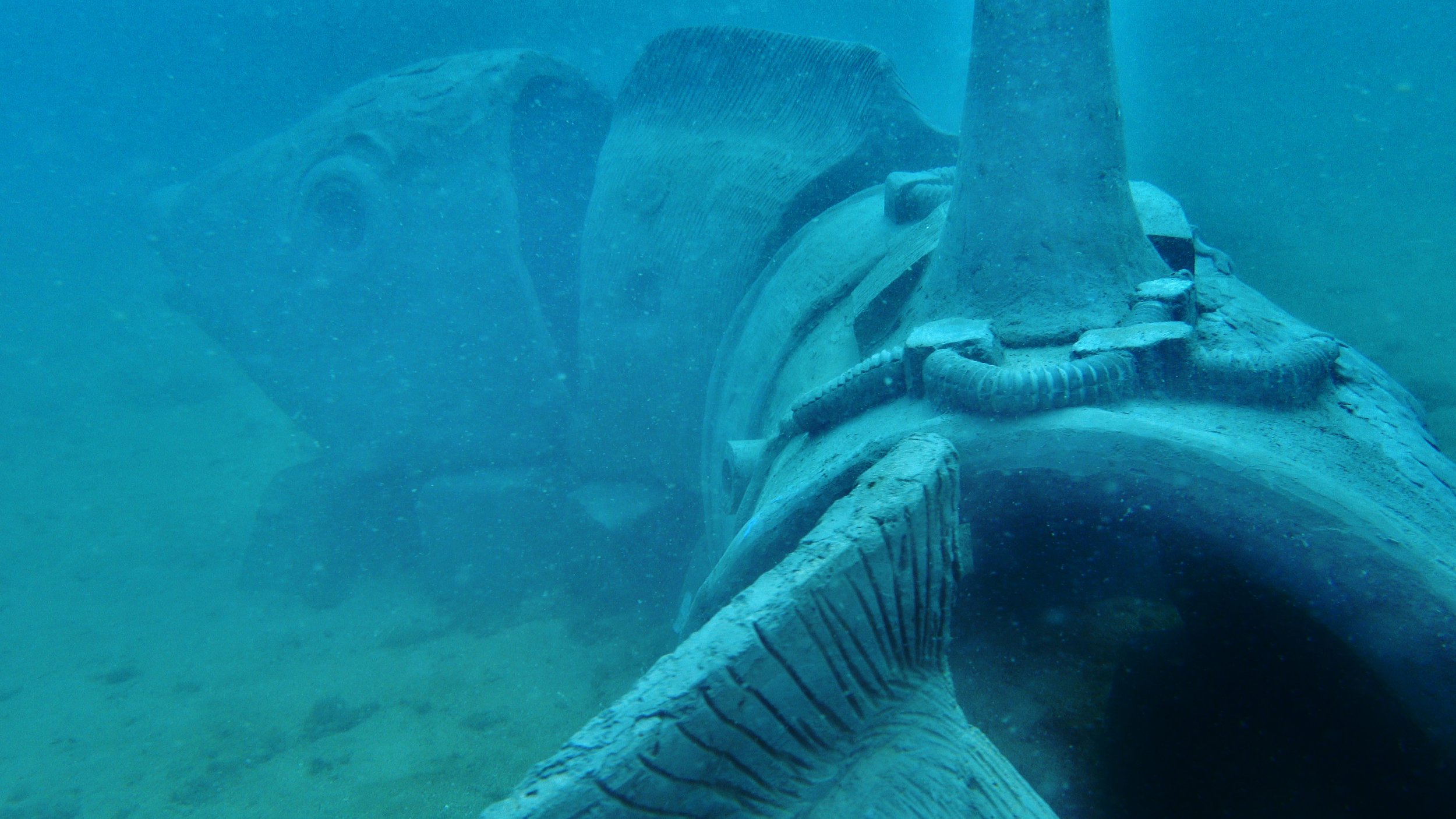 The underwater sculpture is finally home.