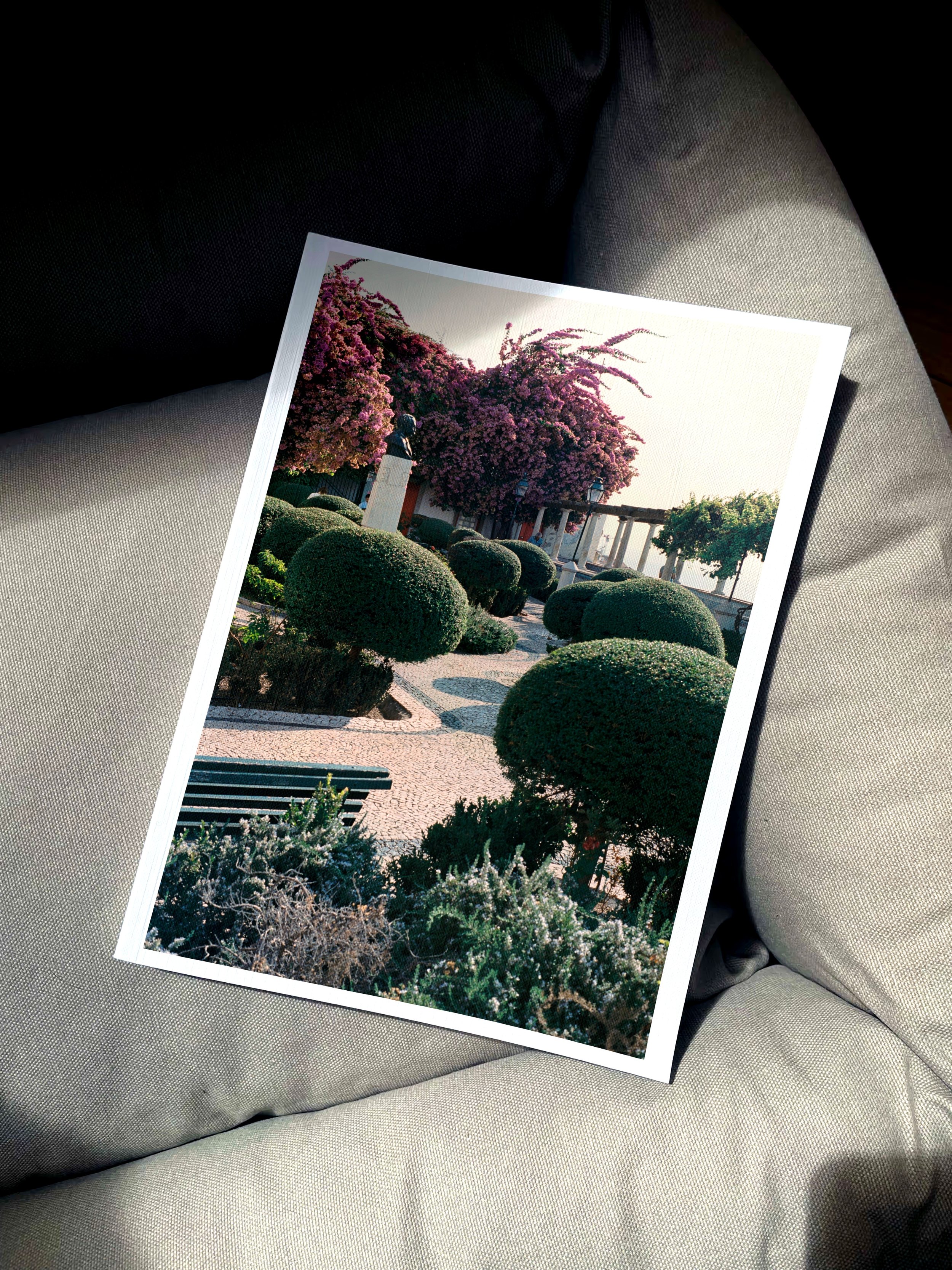 Lisbon garden.jpg