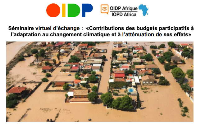 Virtual Seminar: Contributions of Participatory Budgeting to Climate Change Adaptation and Mitigation