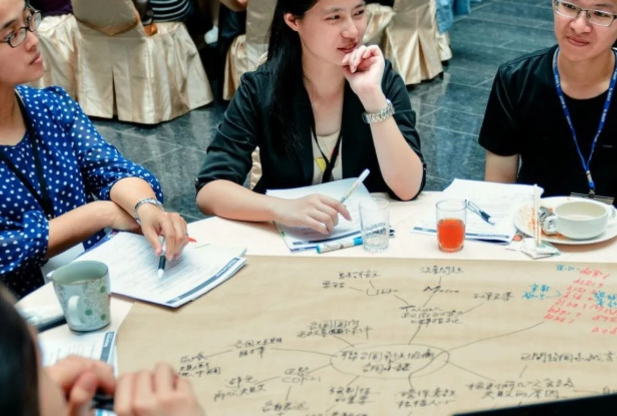 Can public participation accelerate net zero transition?