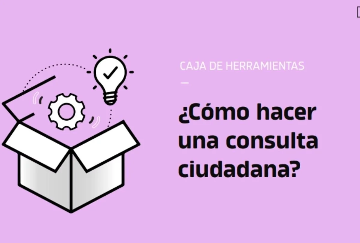 How to run a citizen consultation