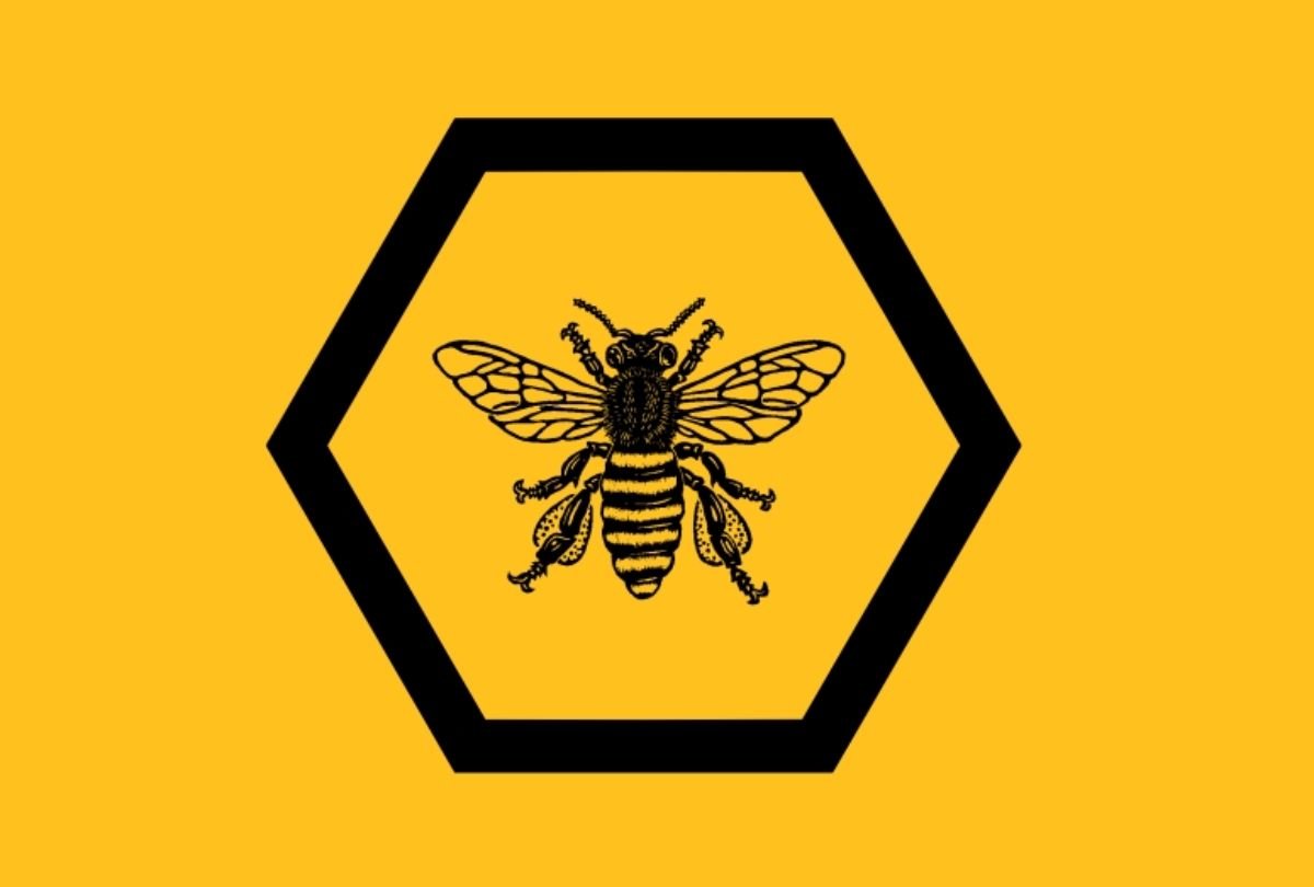 Extinction Rebellion guide to citizens’ assemblies