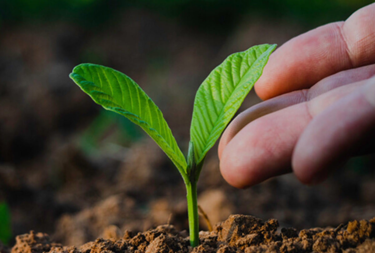 Integrating deliberation into governance