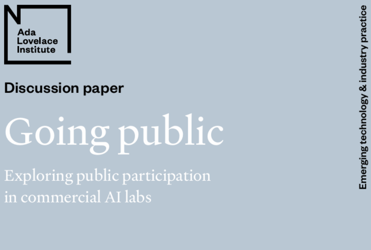 Exploring public participation in commercial AI labs