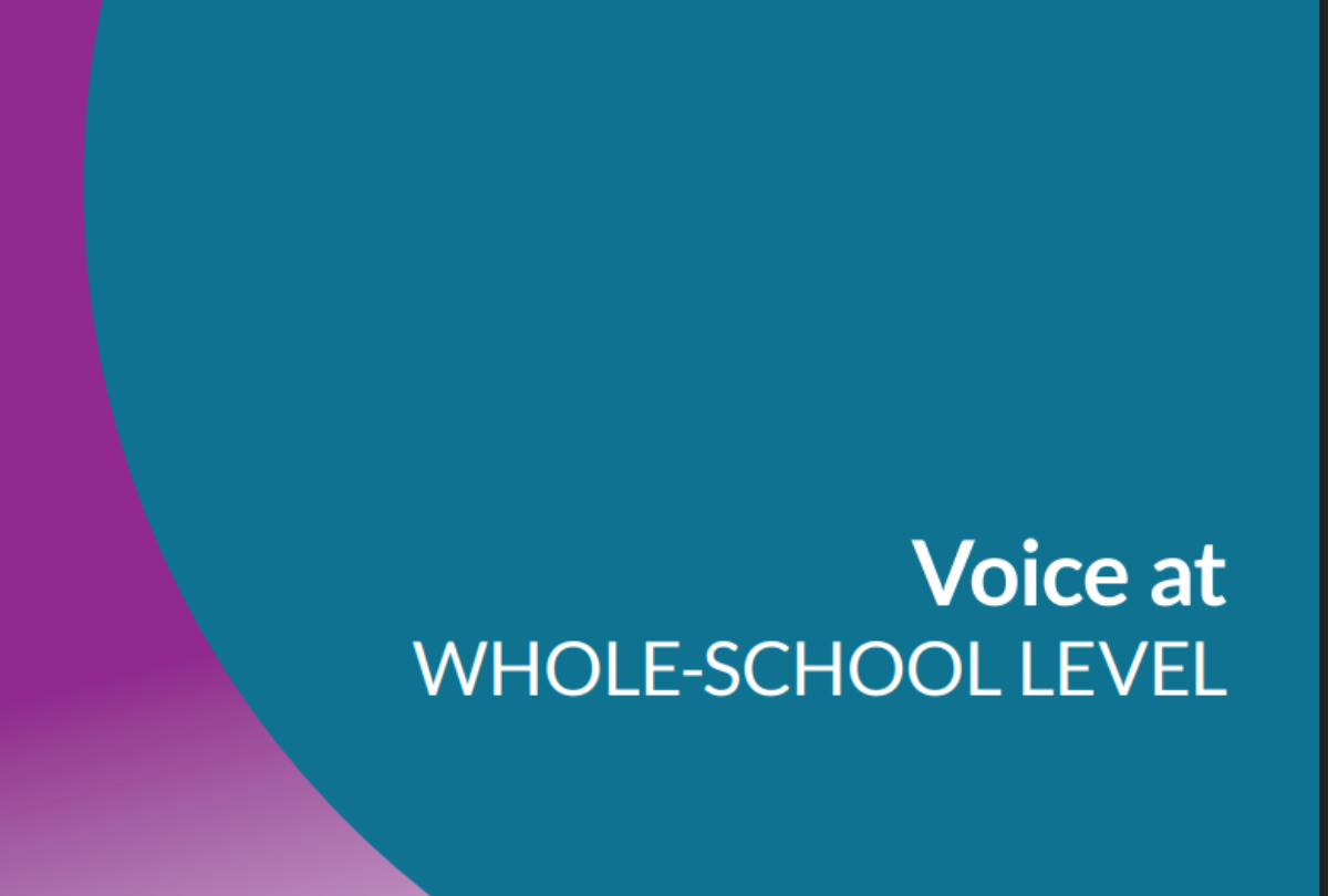 Voice at whole-school level