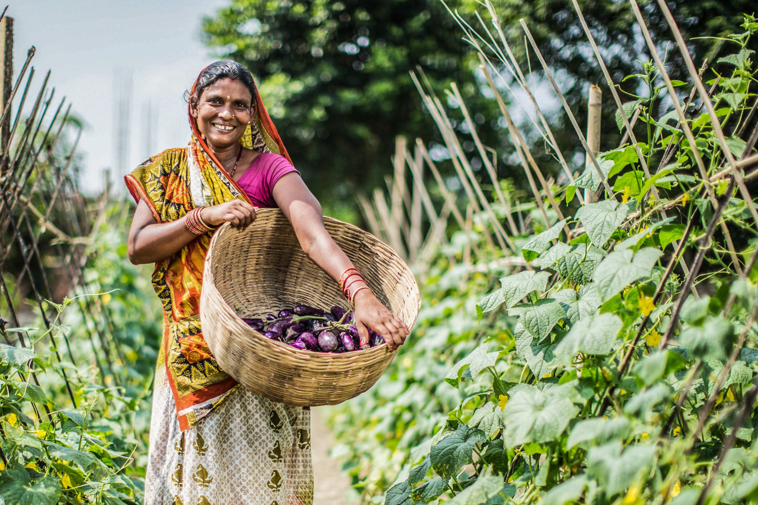 New Climate Democracy Funding, Video &amp; Learning Event!