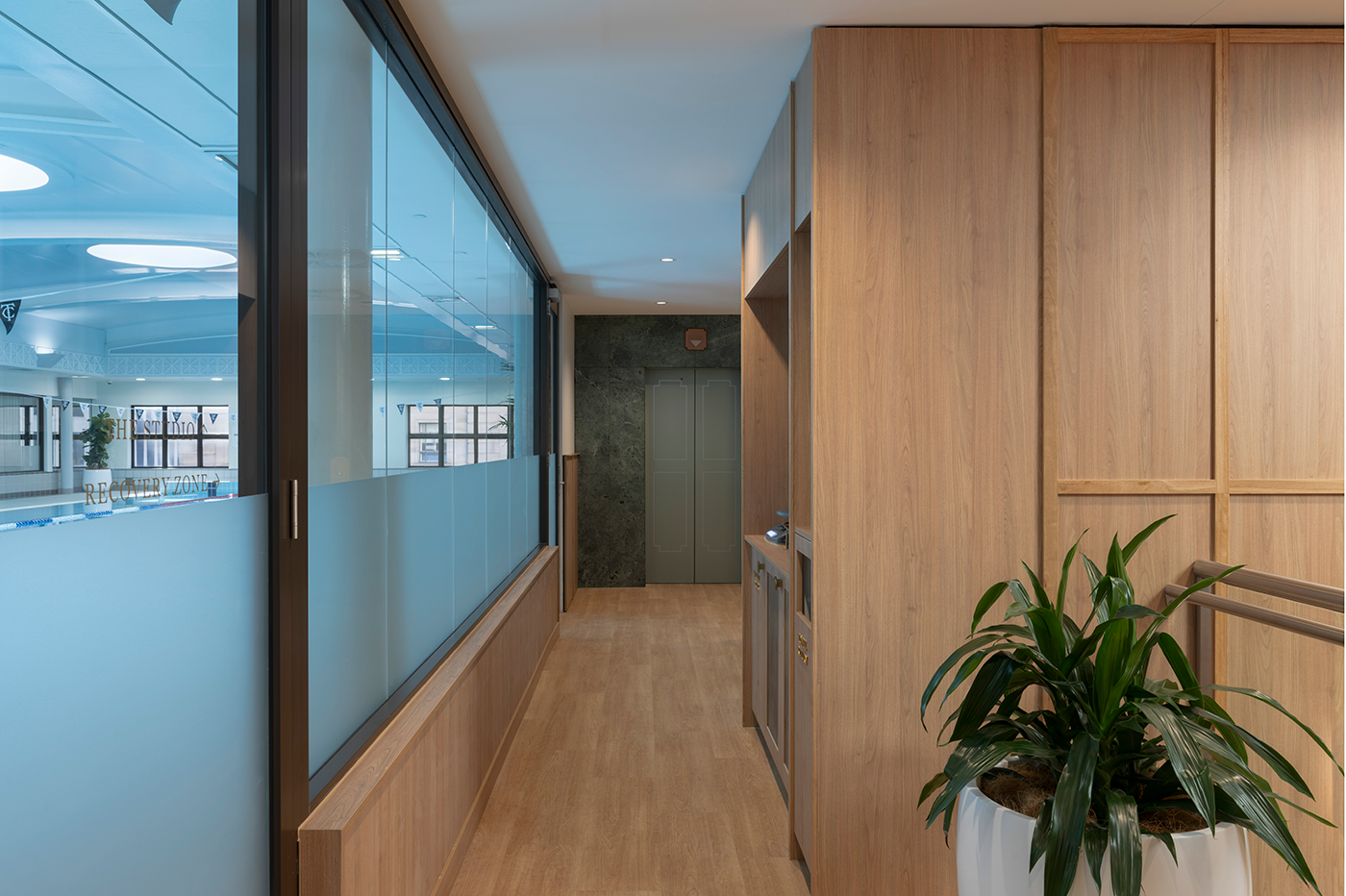 Tattersall's Club. Indoor hallway with wooden paneling, glass partition on the left, potted plant on the right, and view of a swimming pool area through the glass. Hospitality Interior Design Brisbane Australia