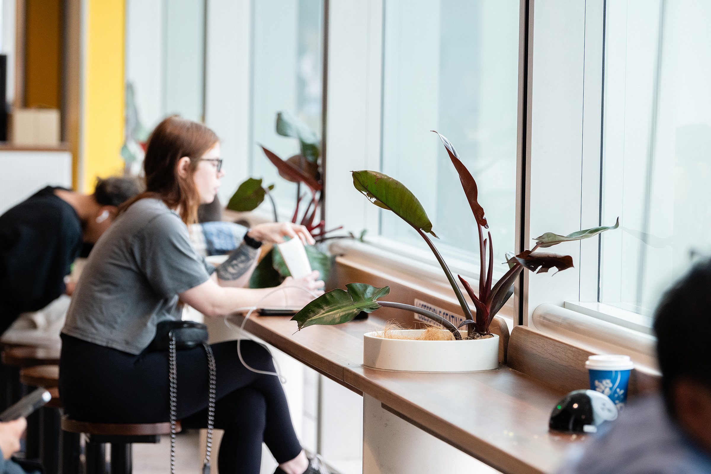 People sitting at a window-facing counter in a cafe, using electronic devices. A potted plant is on the counter along with a coffee cup. Retail Interior Design Brisbane Australia
