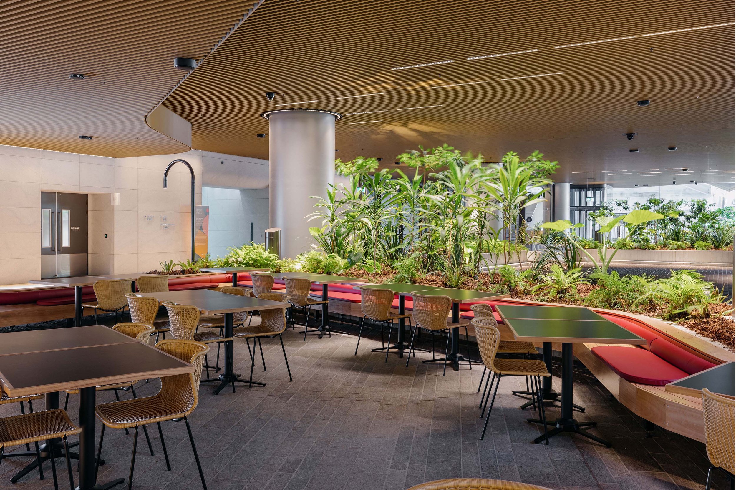 Modern indoor cafe area with tables, chairs, and lush greenery, featuring a wooden ceiling and natural lighting.