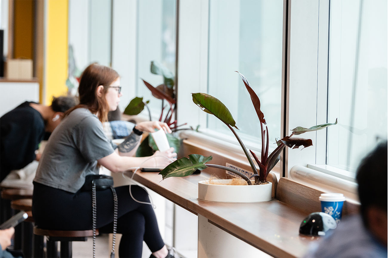 People sitting at a window-side counter with laptops and books, surrounded by potted plants, in a casual setting. Brisbane Airport Domestic Terminal. Retail Interior Design Australia