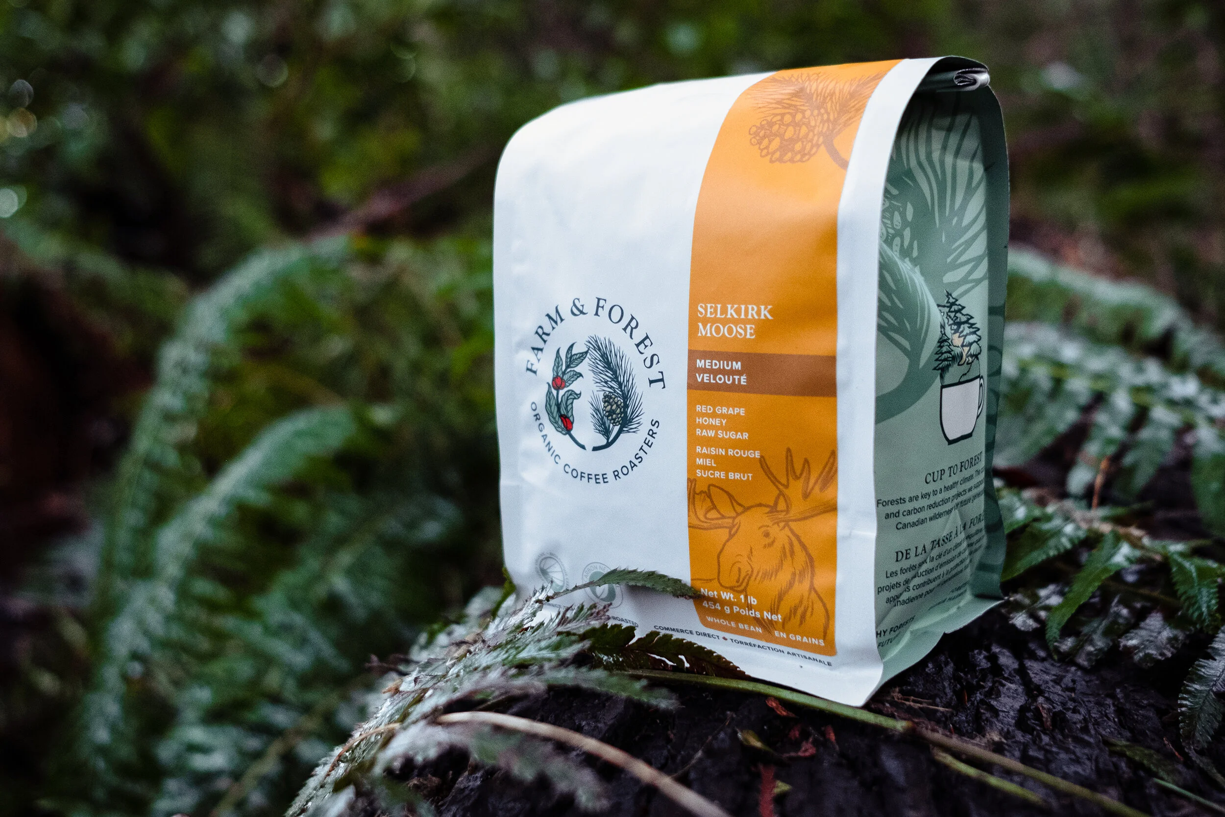 Farm & Forest Organic Coffee Roasters — DESIGN IN COFFEE.
