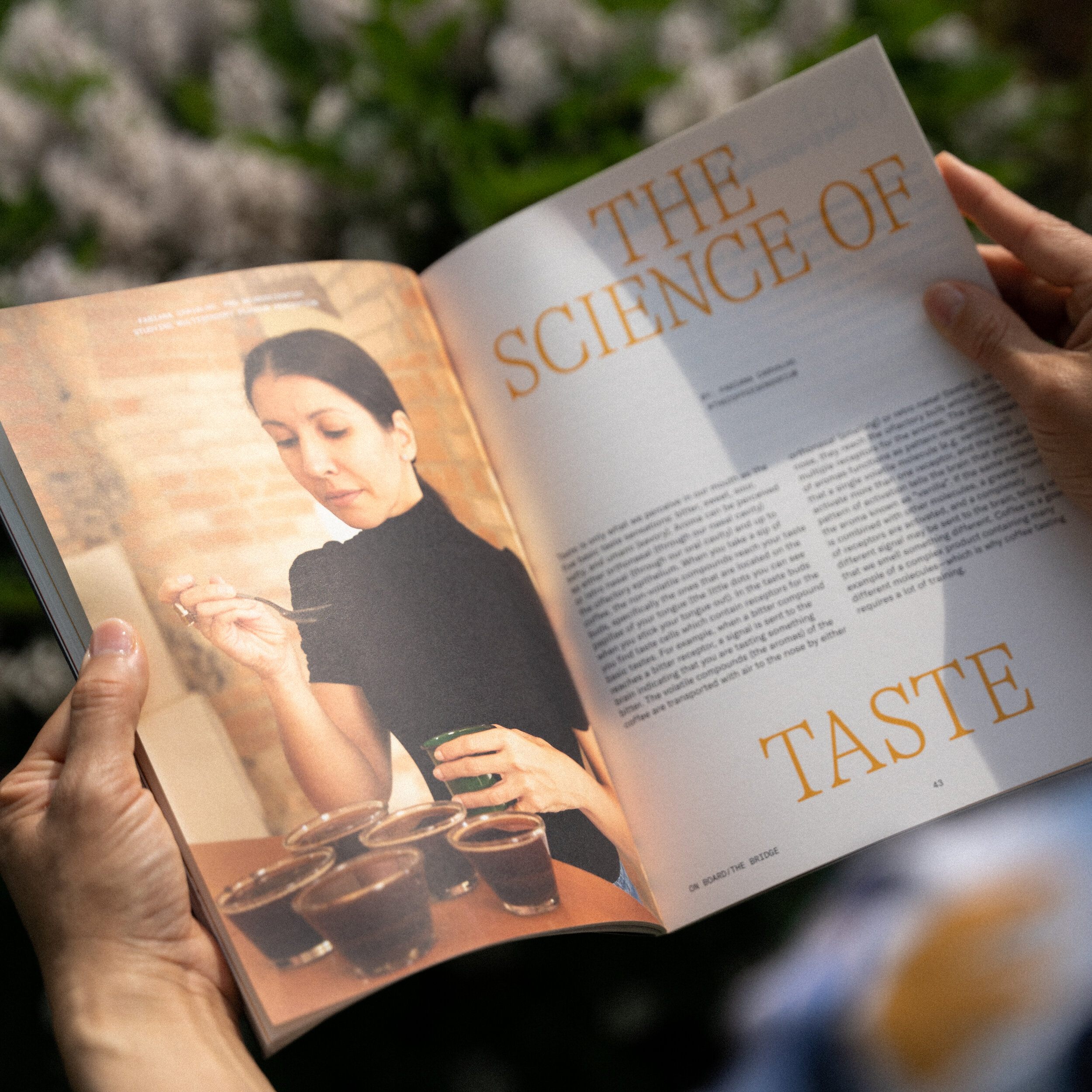 Metric - Source Code Magazine — SCA Coffee Design Awards