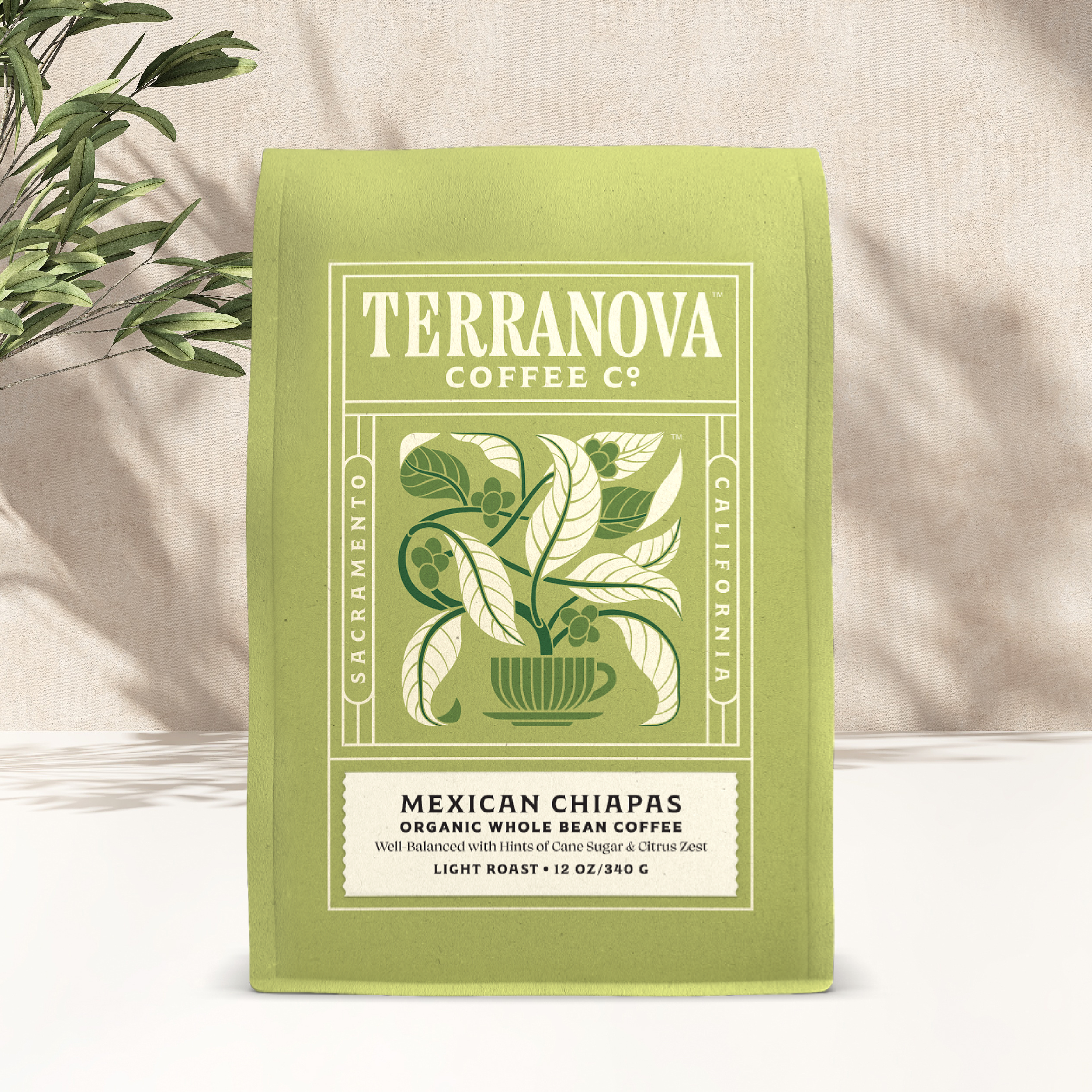 Terranova Coffee Co.
