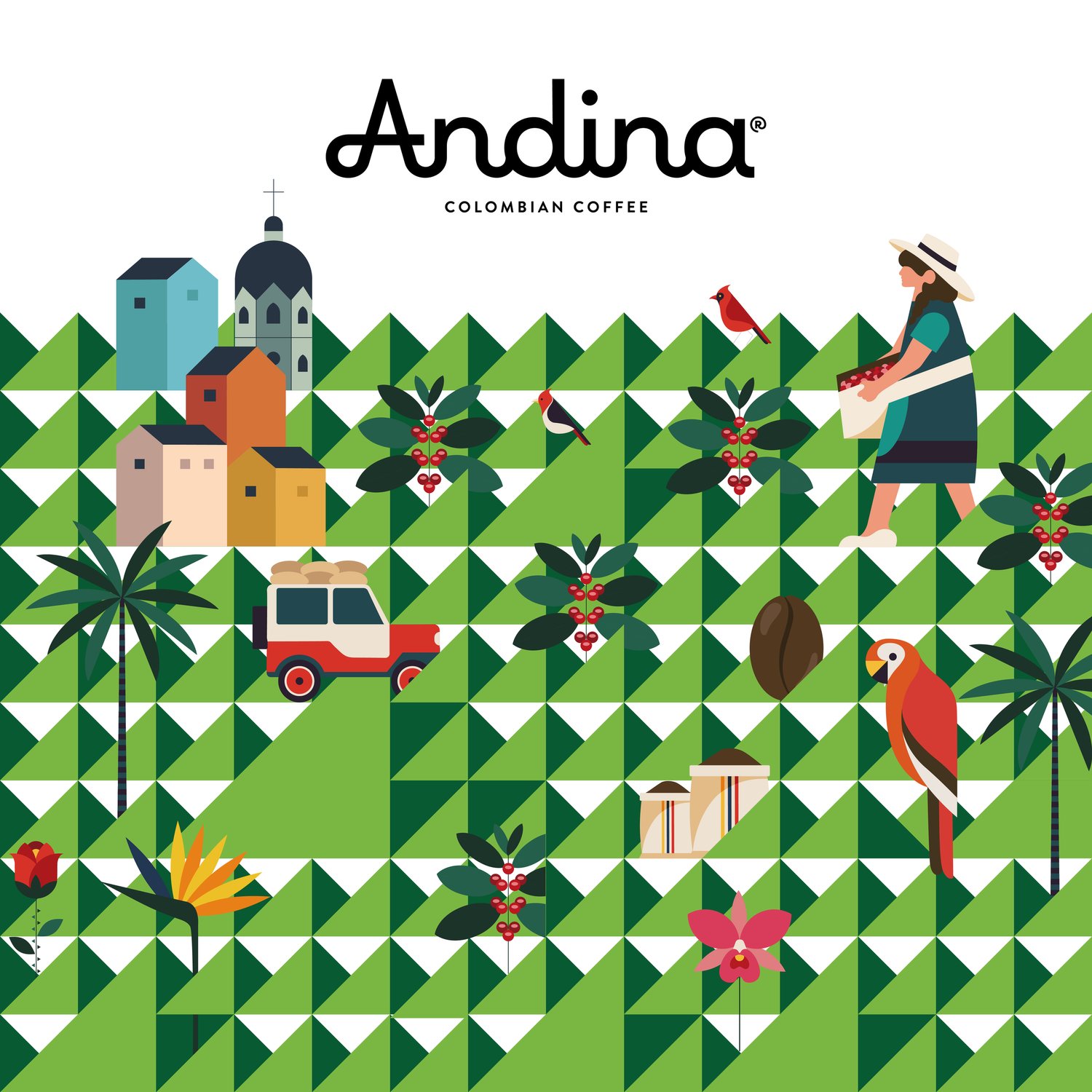 Andina Colombian Coffee — DESIGN IN COFFEE.