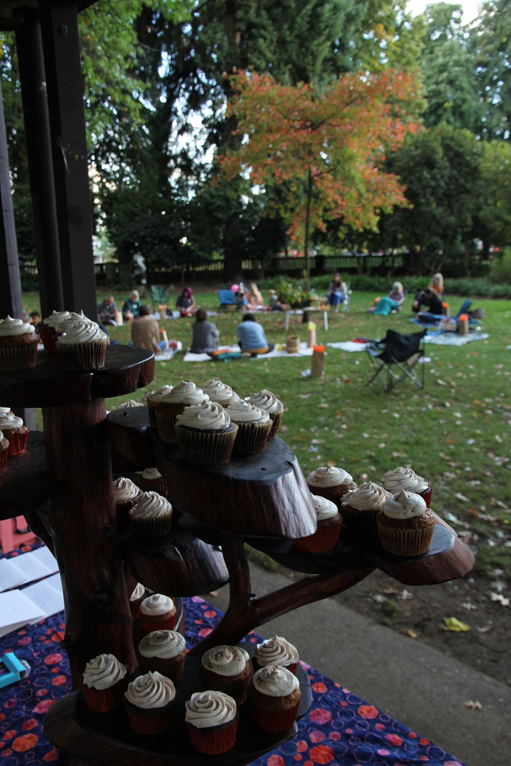 9th birthday party cupcakes and circle_IMG_6870_tagged.jpeg