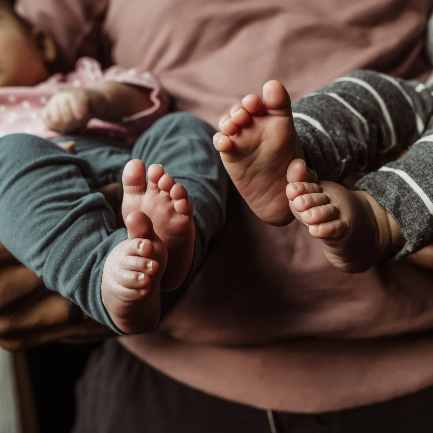 Newborn toes photographed in portland