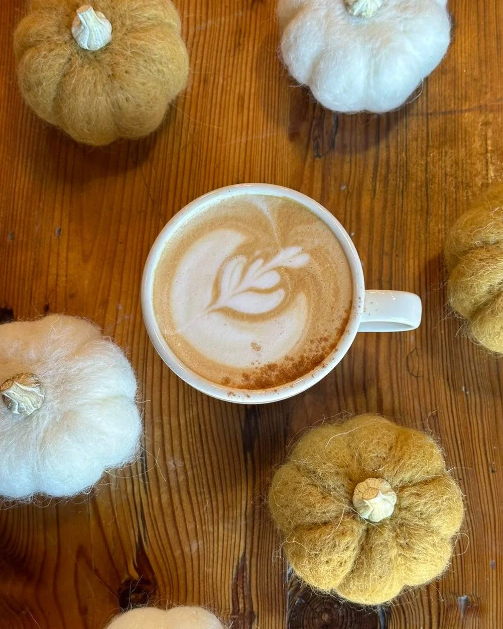 Pumpkin Spice season is underway! On these cooler fall-like mornings, stop in for a warm, cozy cup. We are open 8am-6pm.
Order on Toast & your drink will be ready when you get here.
#cornercoffeeshop #pumpkinspiceseason #pumpkinspicelatte #psl