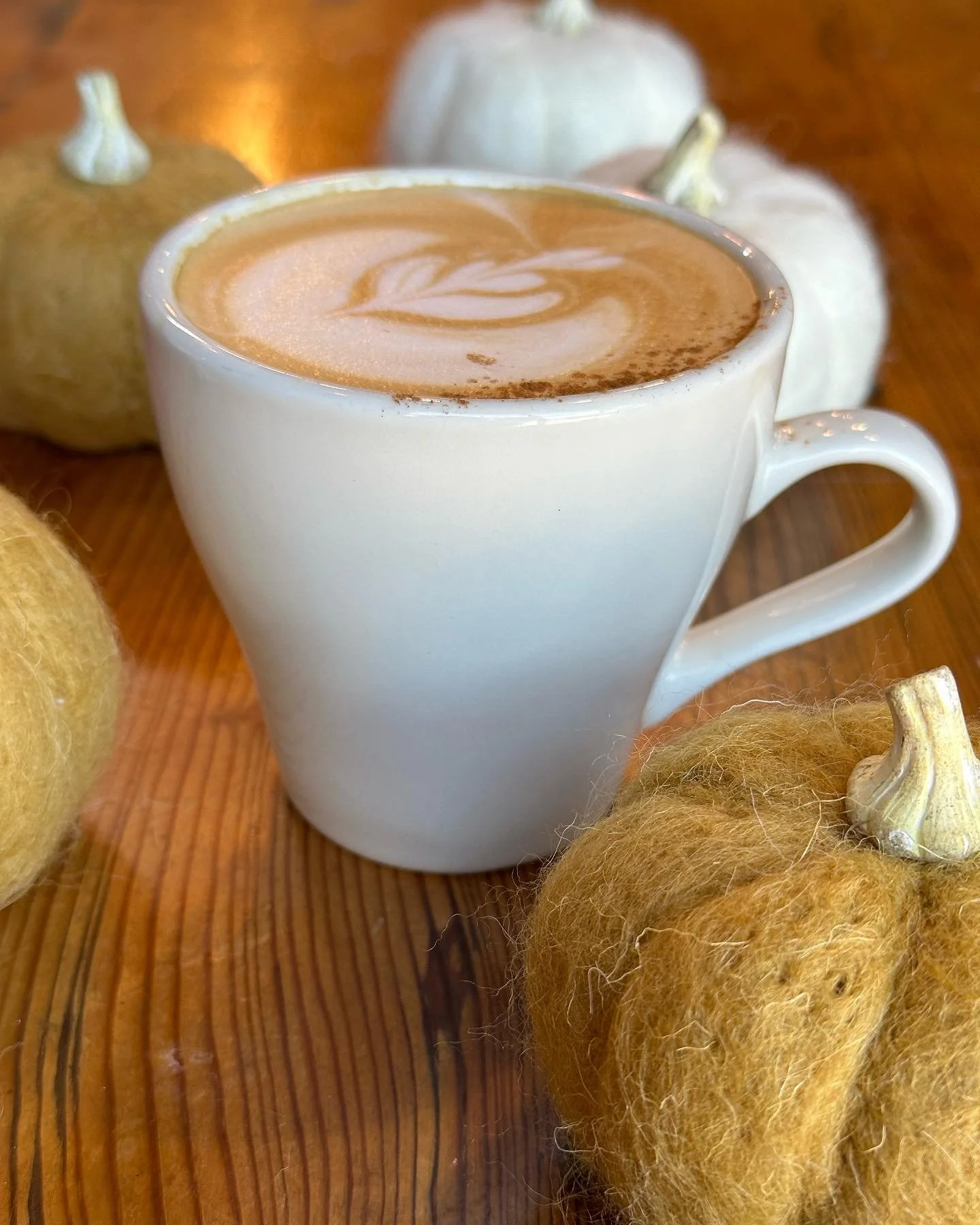 🎃 Pumpkin season is winding down. Make sure to get all of your cozy pumpkin drinks while they are still available!
Make plans to grab a warm latte and enjoy live music with Dolores Samson from 6-8pm tonight. 
We are open 8am-8pm.
#cornercoffeesho