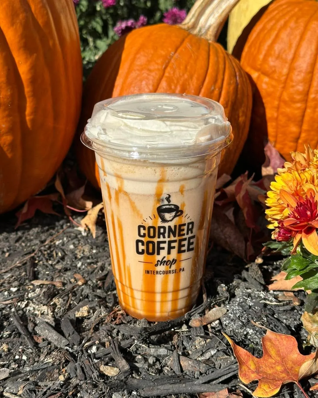 How is it the last weekend in October already? Our featured Fall drinks will soon be replaced by our holiday drinks, so get them while you can!
Tonight we have live music with LeRoy Stoltzfus from 6-8pm. Come out for great night of music & delic