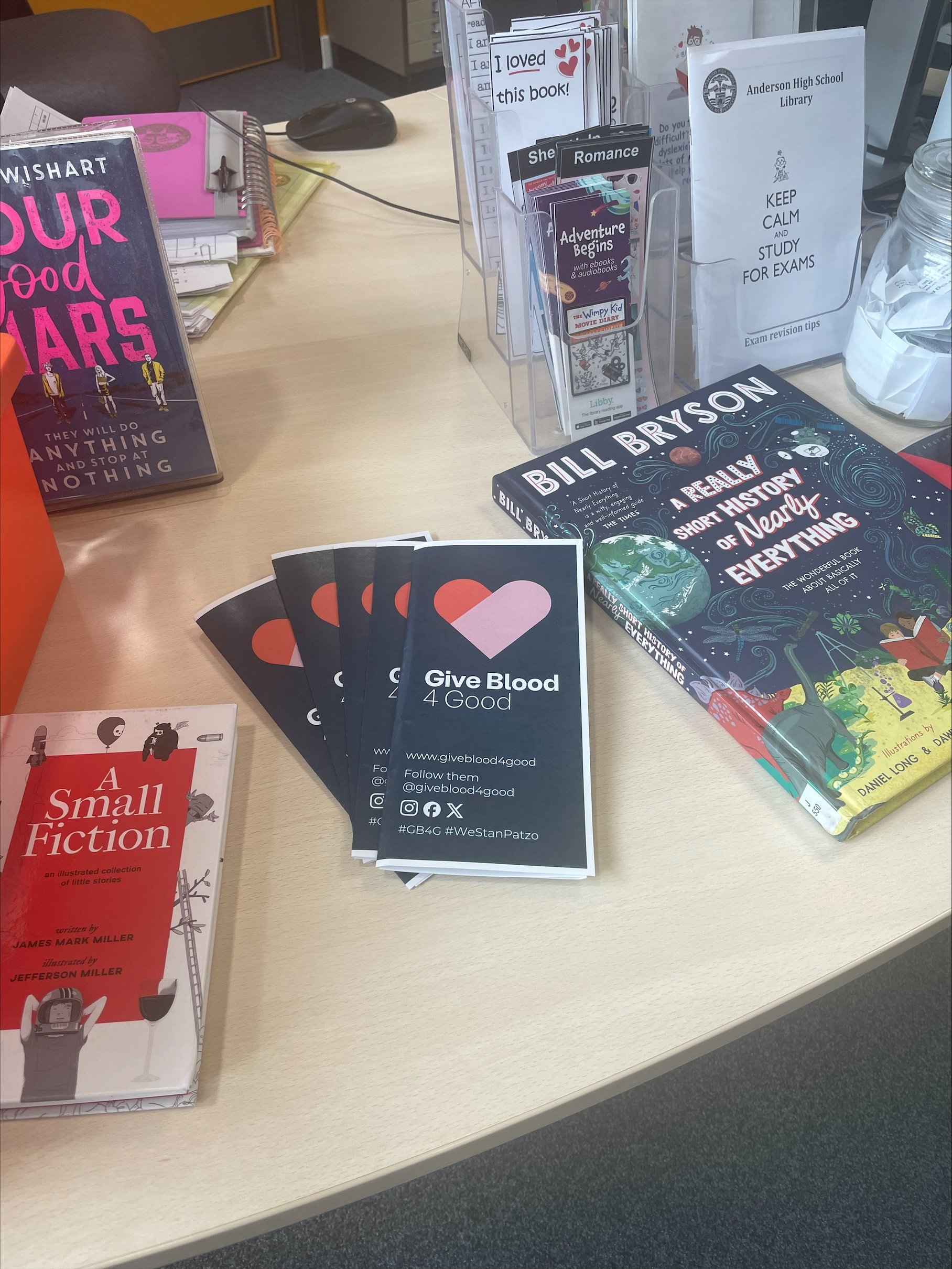 Photo of leaflet in library (1).jpeg