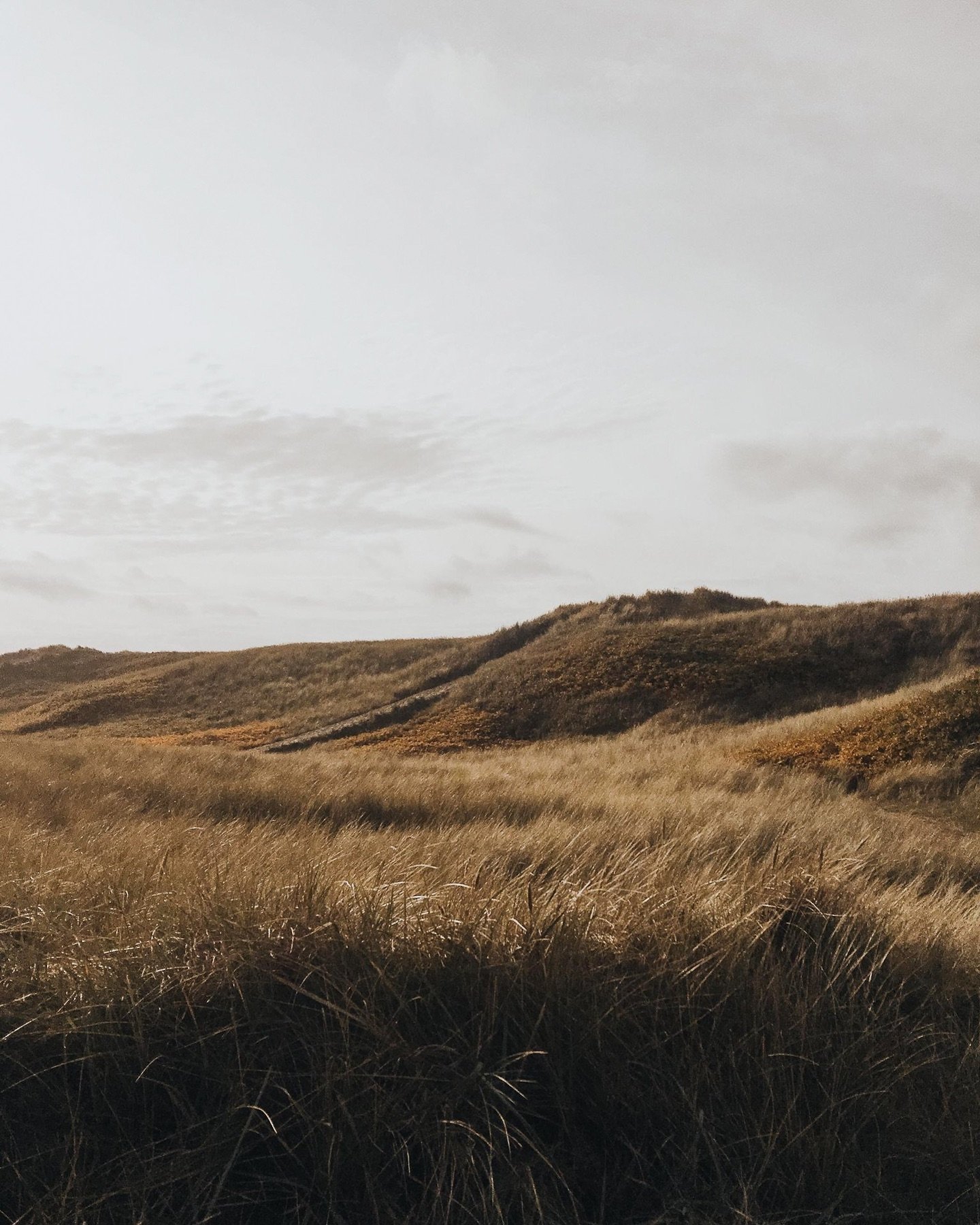 place. of. rest. 

This place I love.
The West coast of Denmark. 
Harsh wind. 
Rough sea. 
Painted skies. 
Sand in my pockets. 
Sea shells. 

So many memories made in this place. 

This month David and I have been married for 9 years. We spend our ho