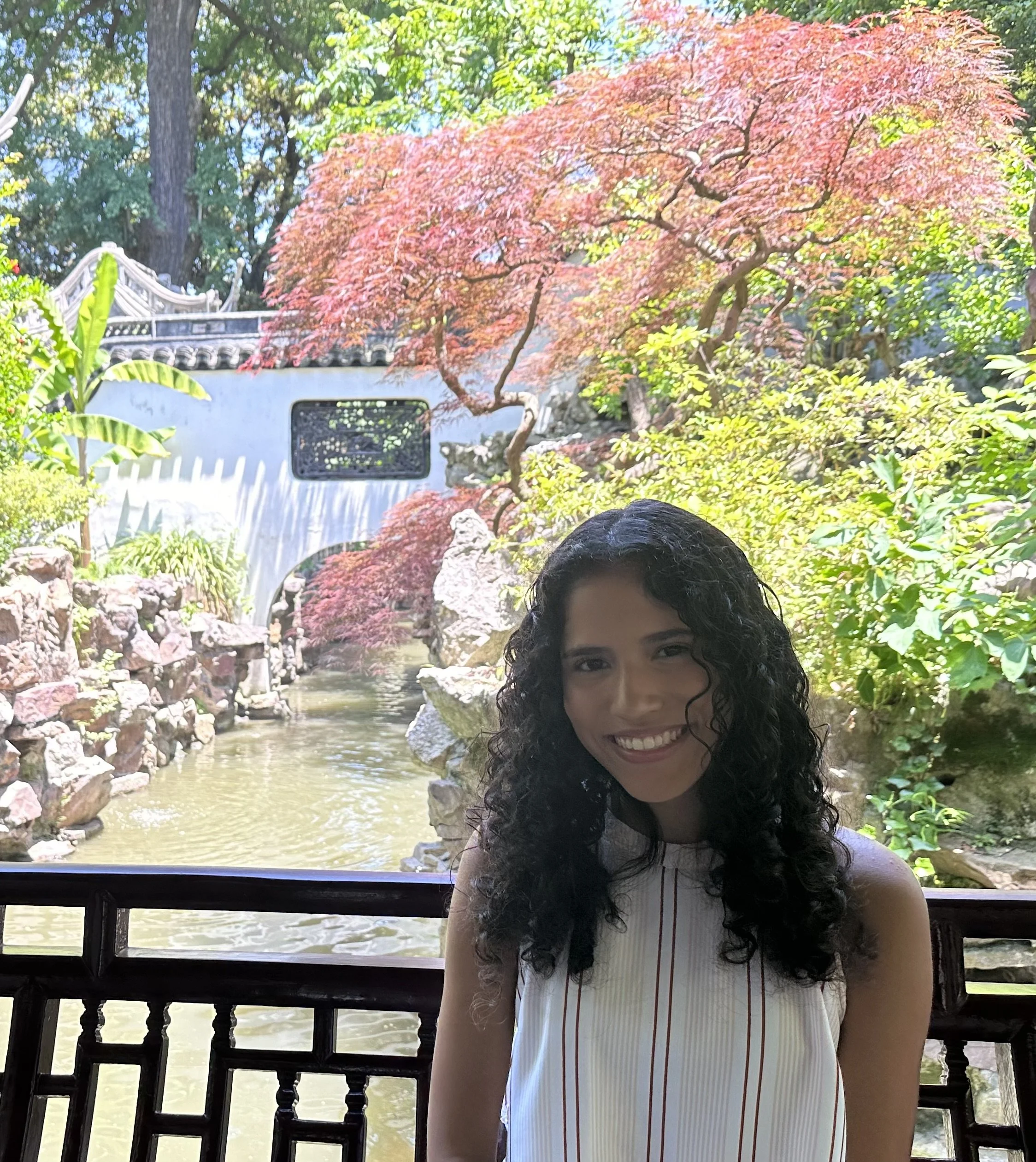 Wandy Rodriguez 
(wmr2029@nyu.edu)- Supramolecular
Subgroup (w/Bibek)