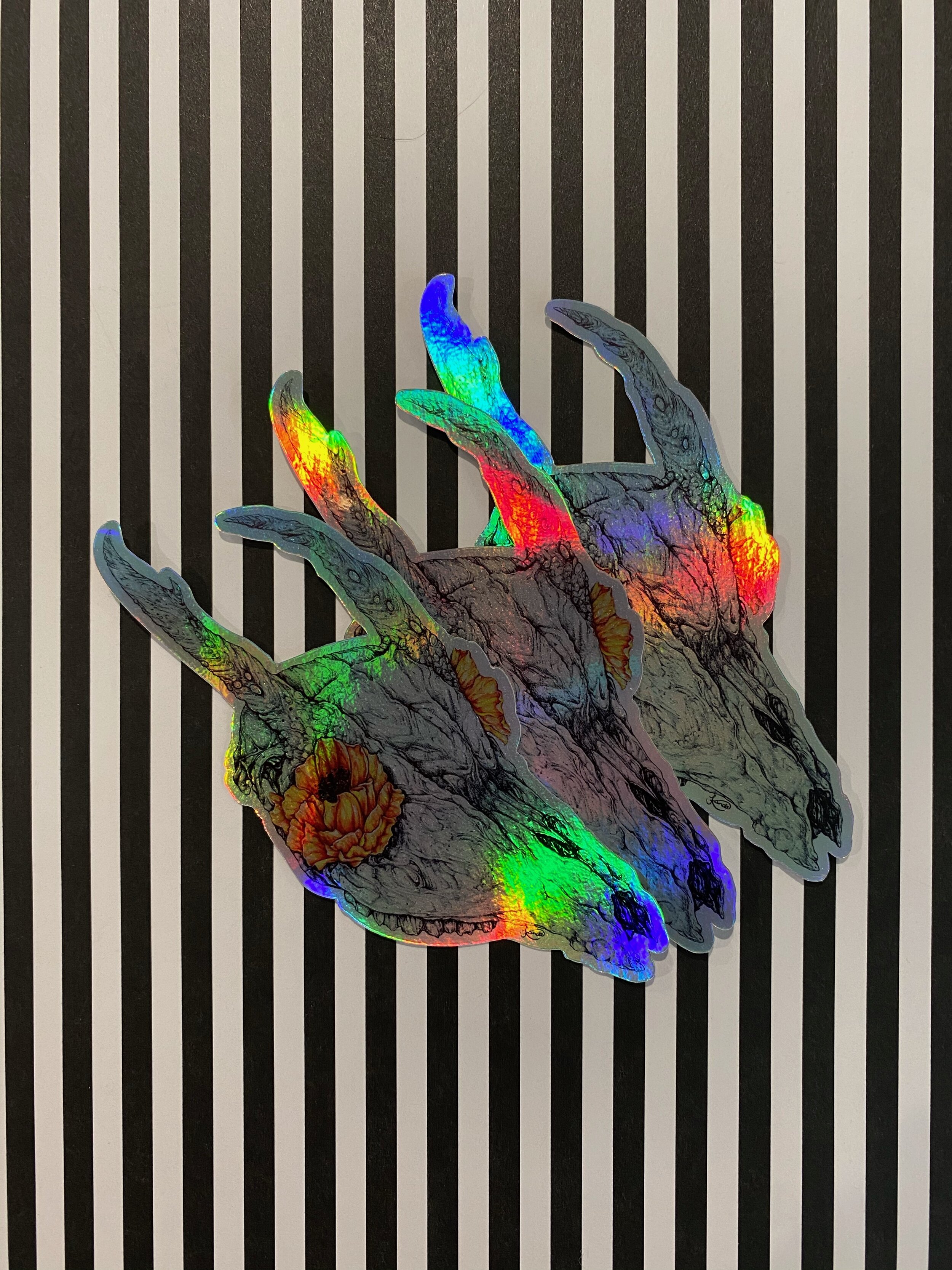 image0 (54).jpeg