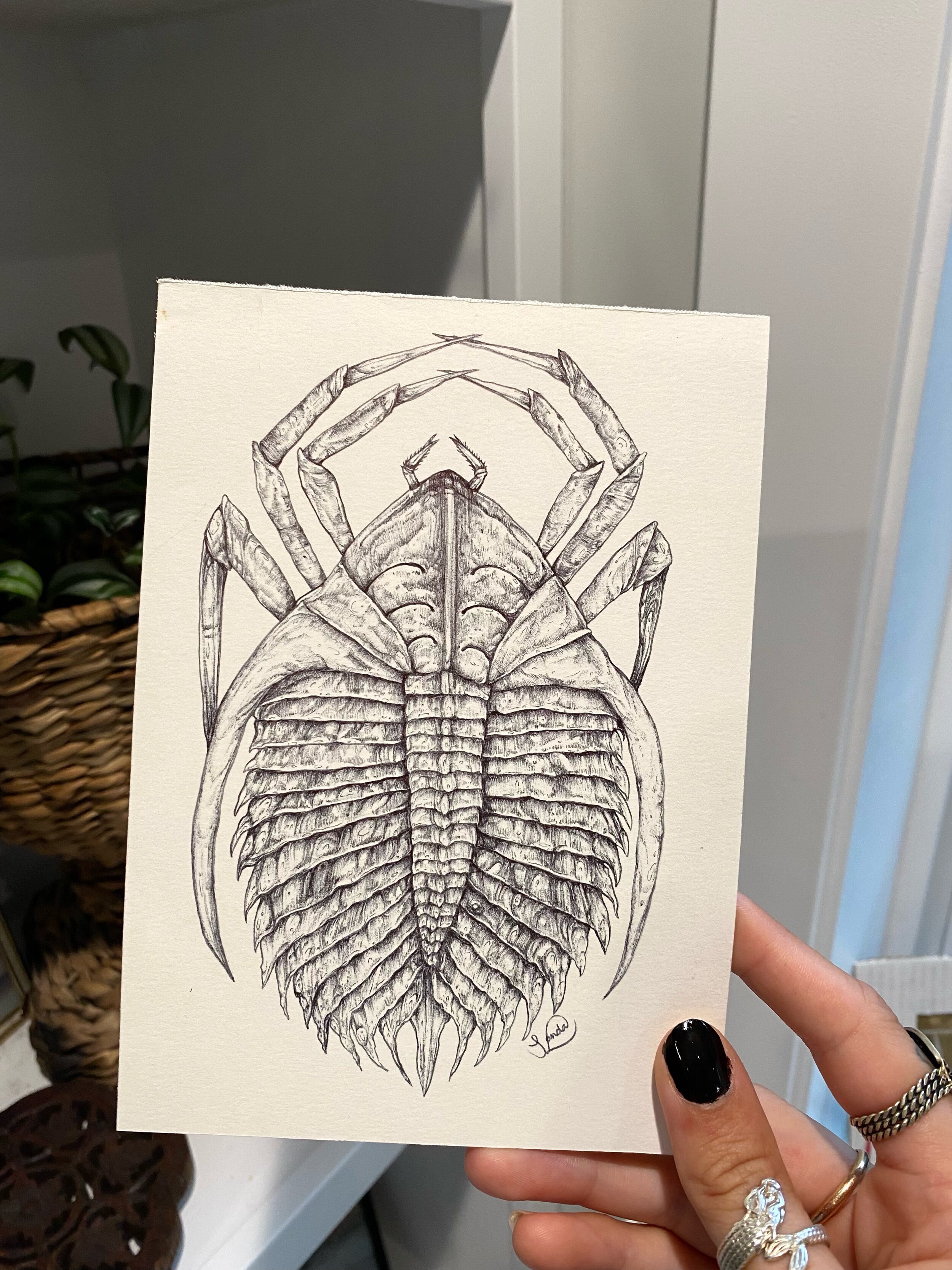 image1 (18).jpeg