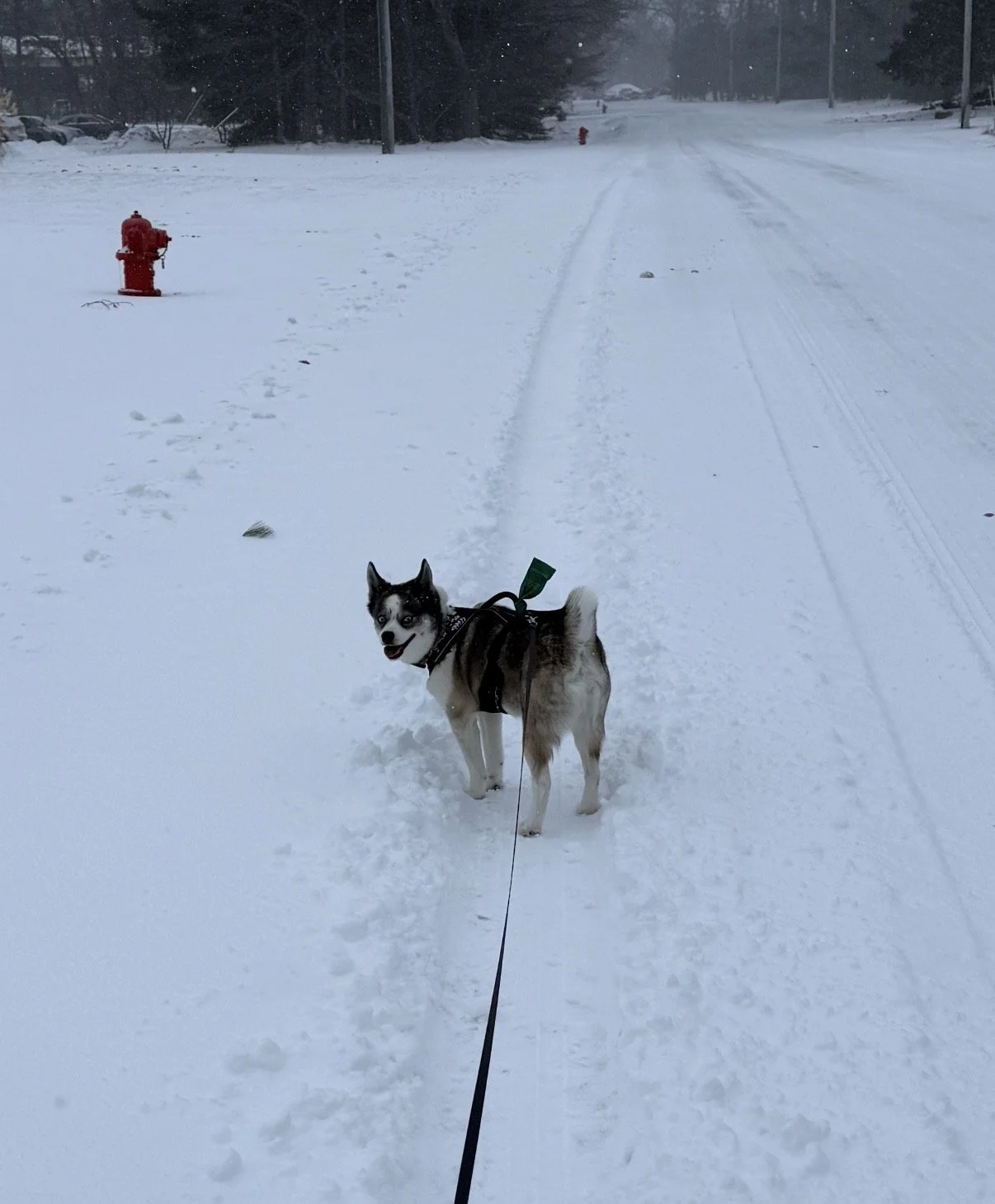 ⋆.𐙚 ̊First Gallery Appearance of 2026 ̊ 𐙚.⋆