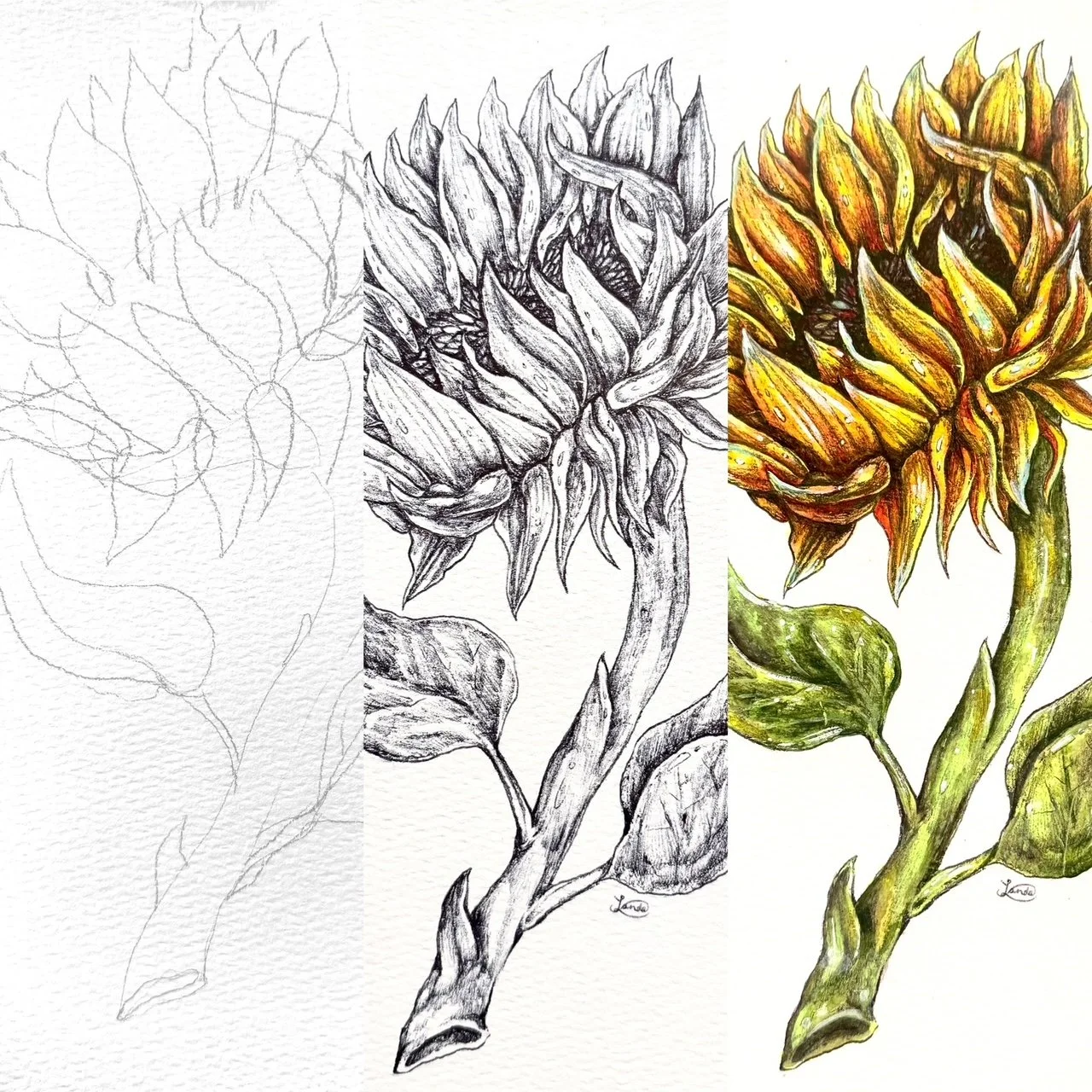 ꧁Save Your Tears꧂