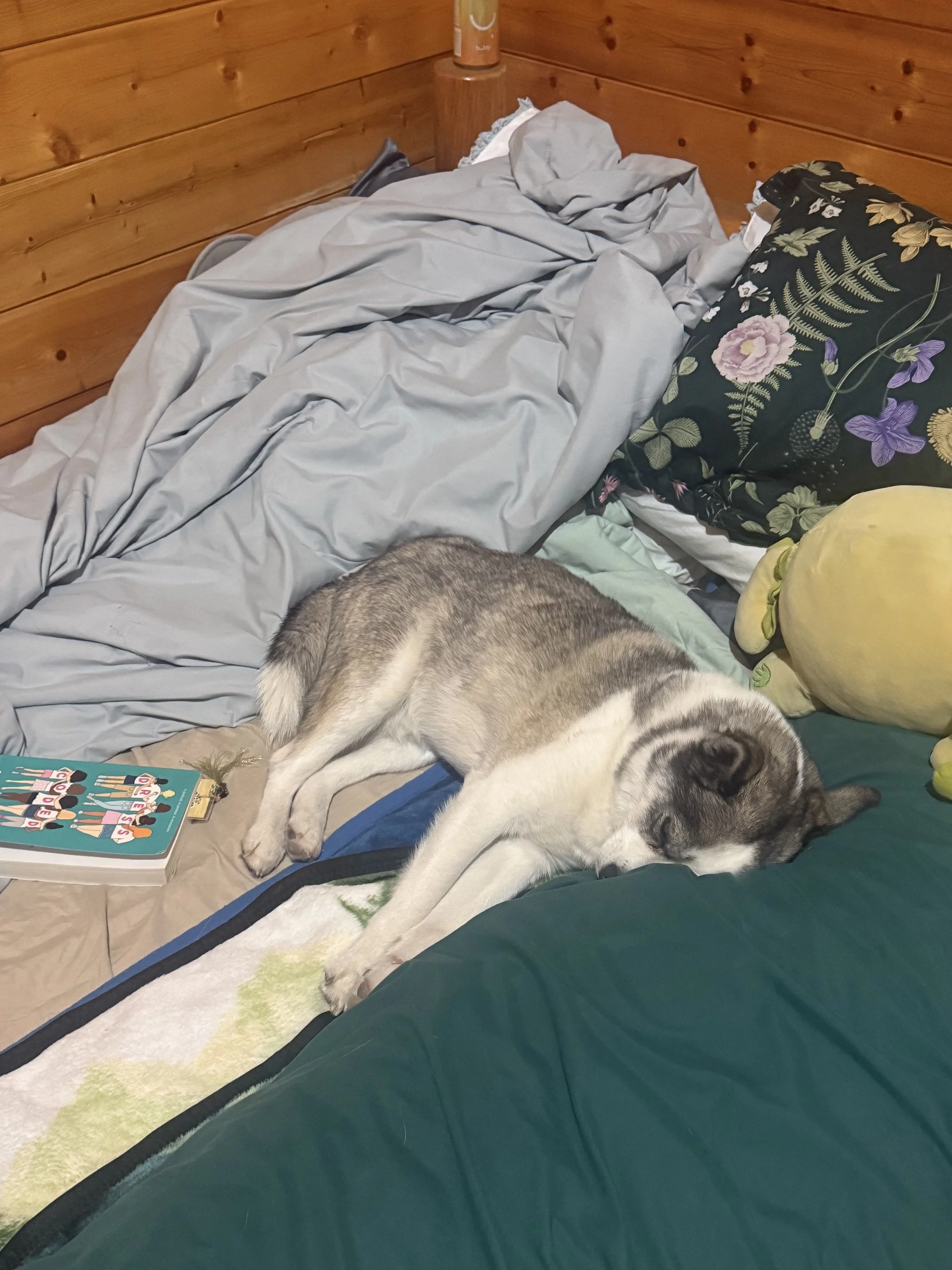 IMG_0598.jpeg