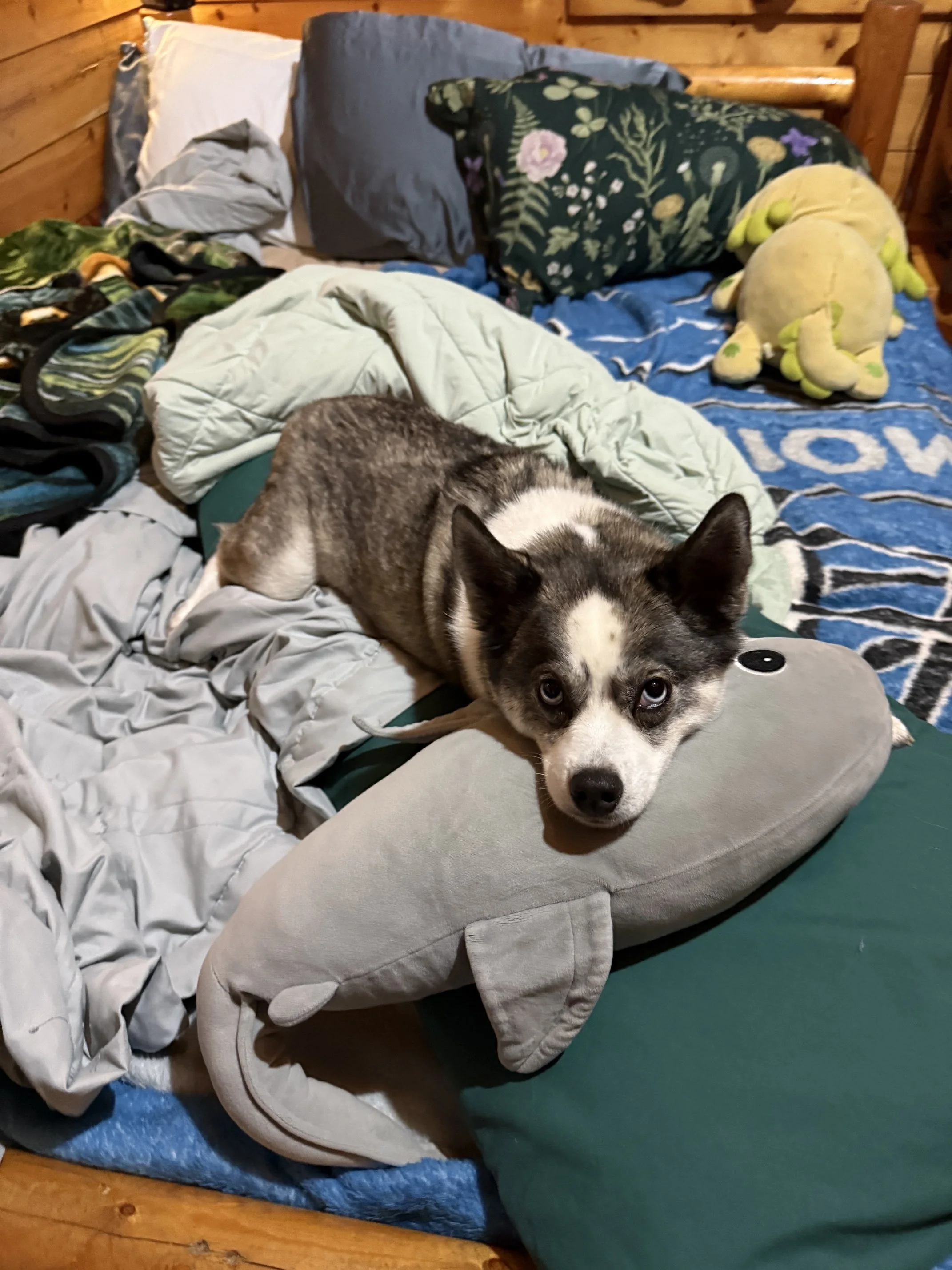 IMG_0620.jpeg