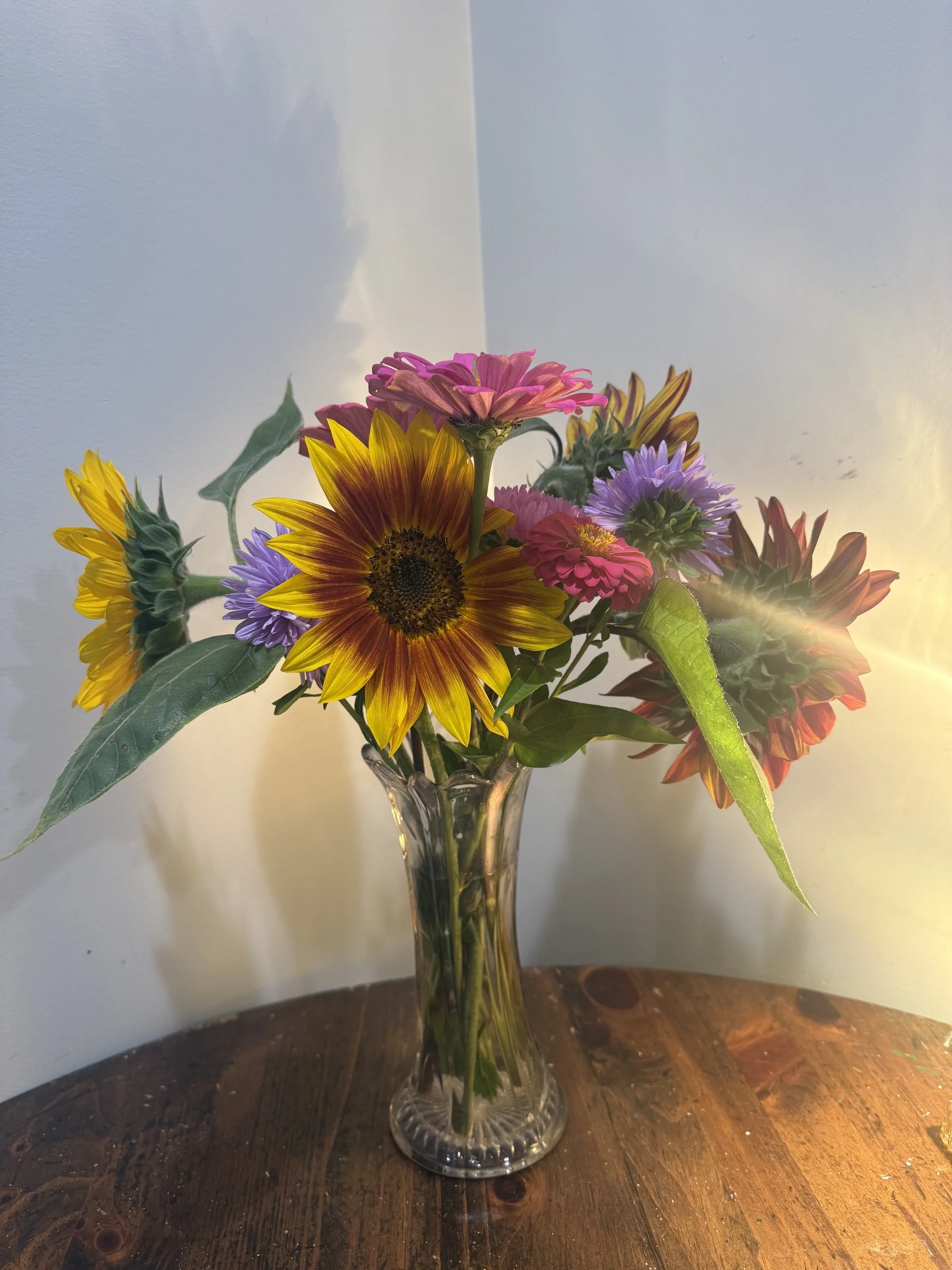 IMG_0781.jpeg