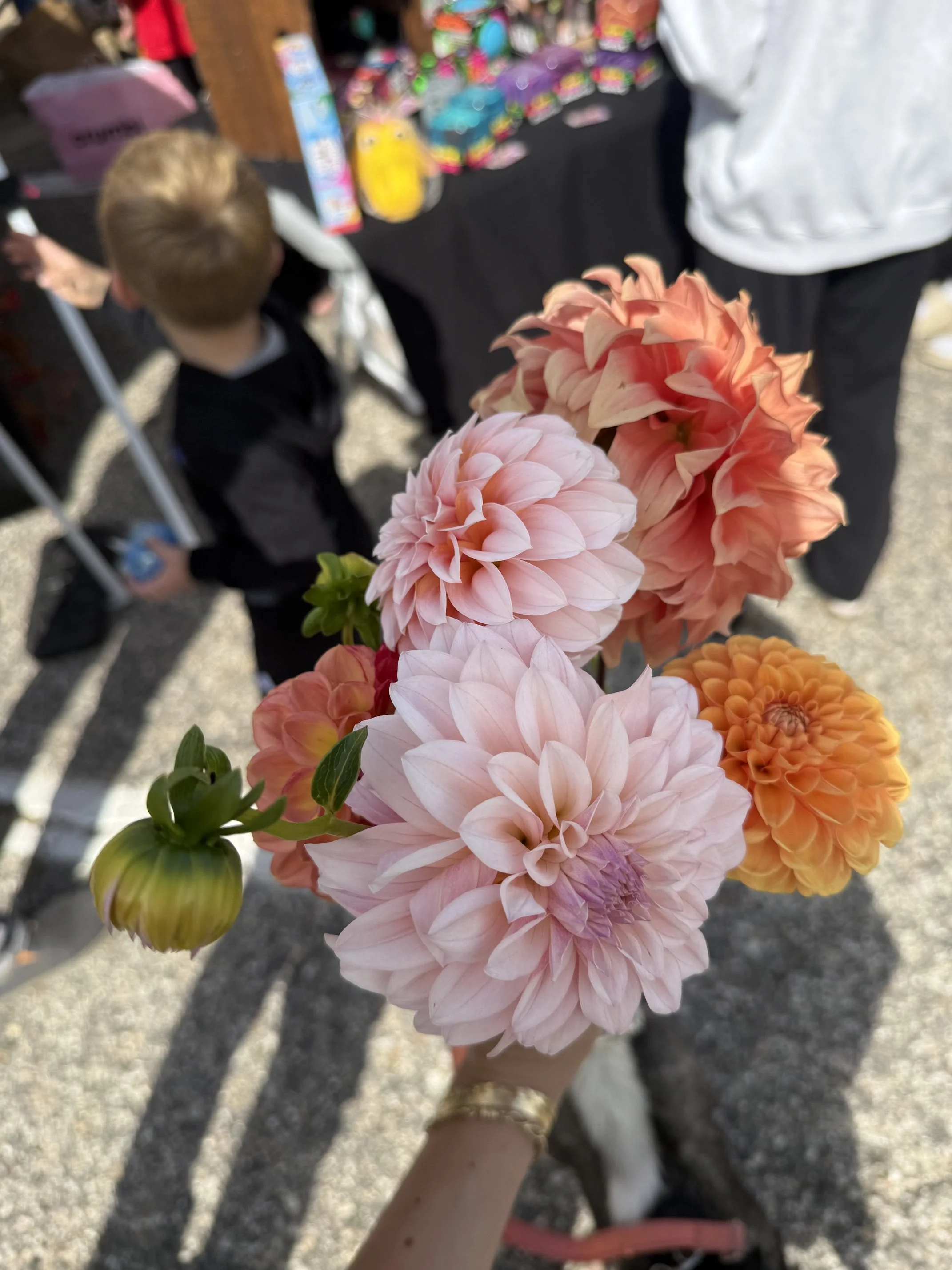 IMG_1297.jpeg