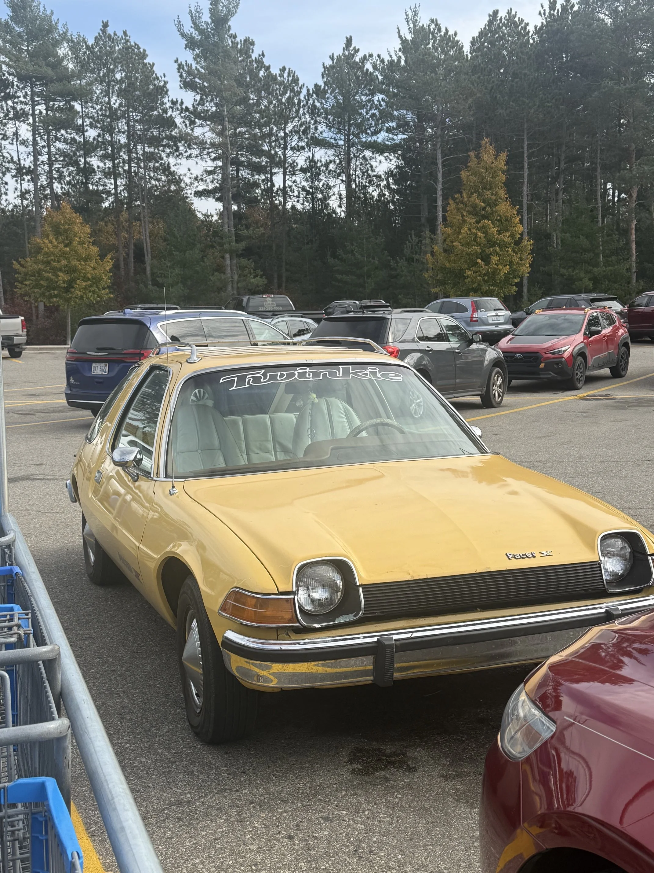 IMG_1398.jpeg