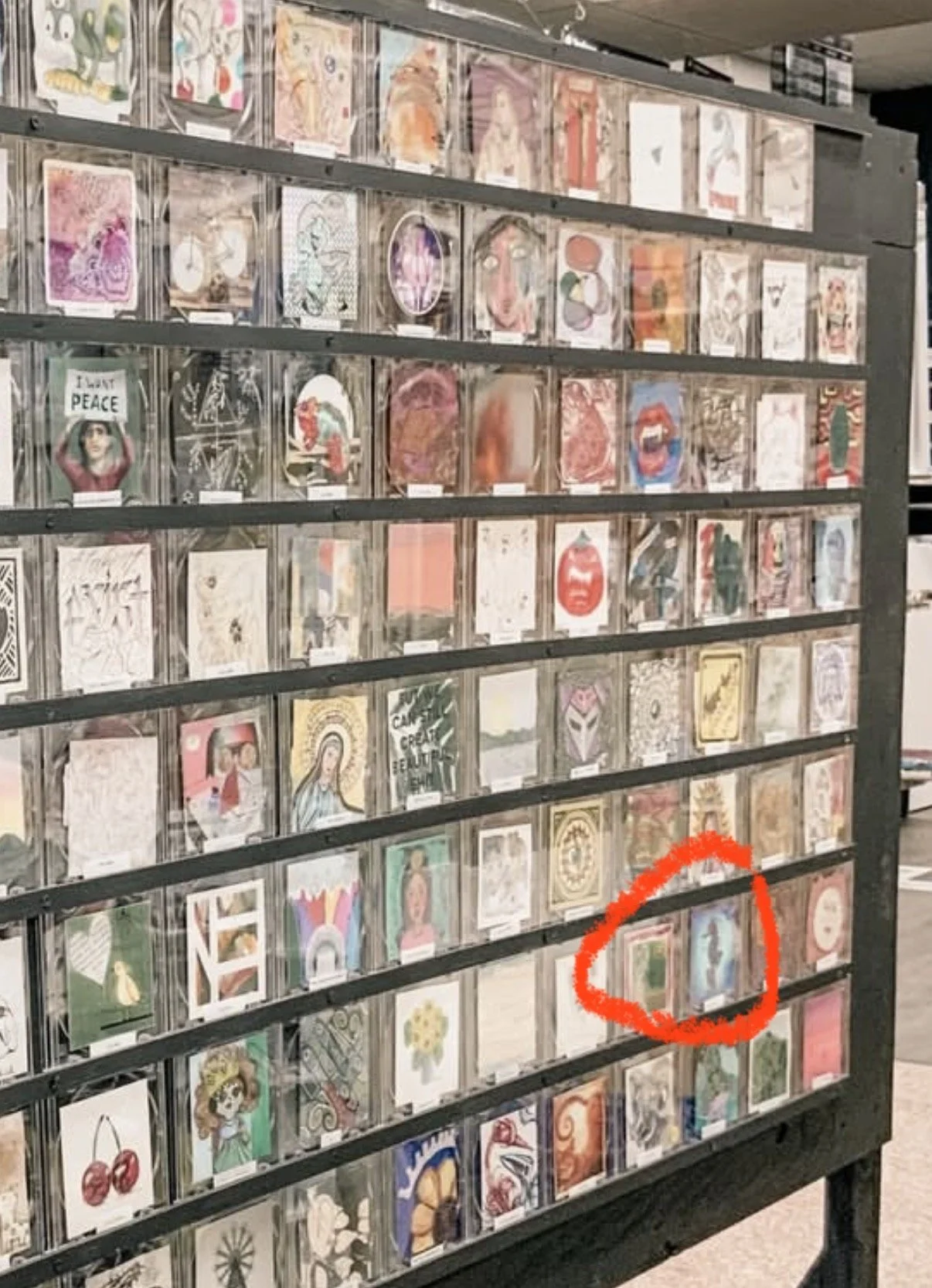 Butterfly-Fin in his temp. home