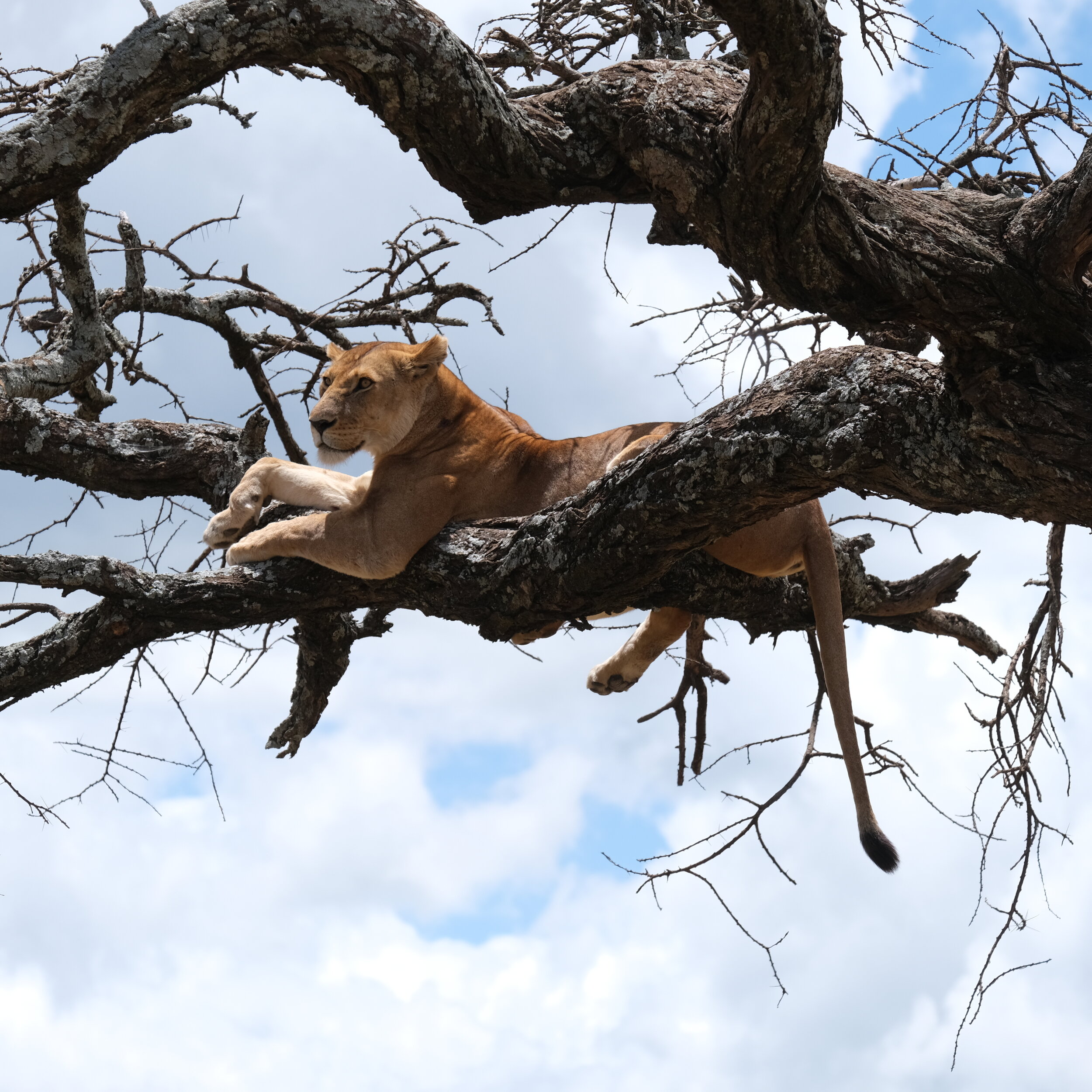 This is the Conversation That Changed Everything