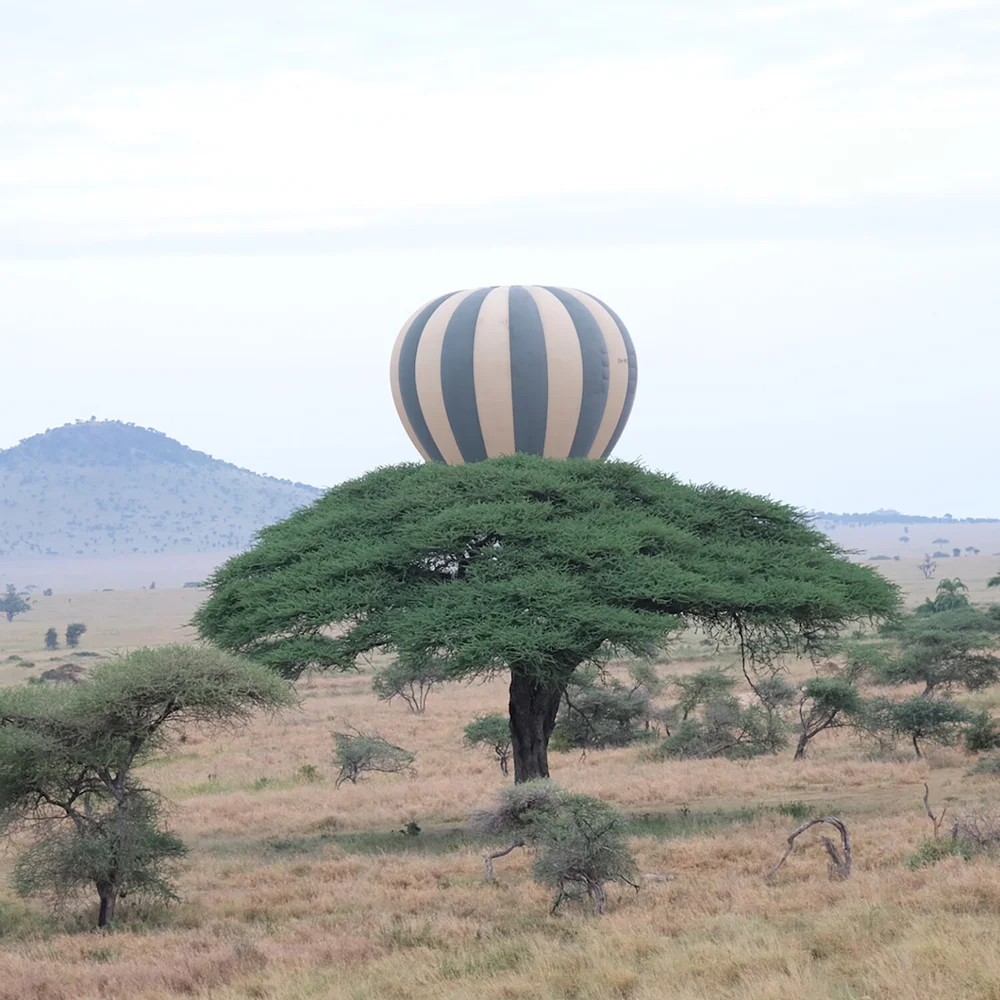 HOT AIR BALLOON