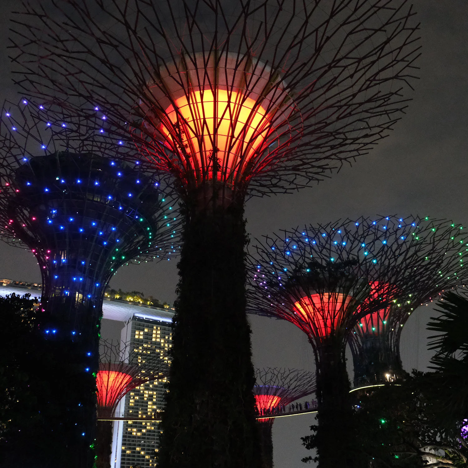 SINGAPORE GARDENS