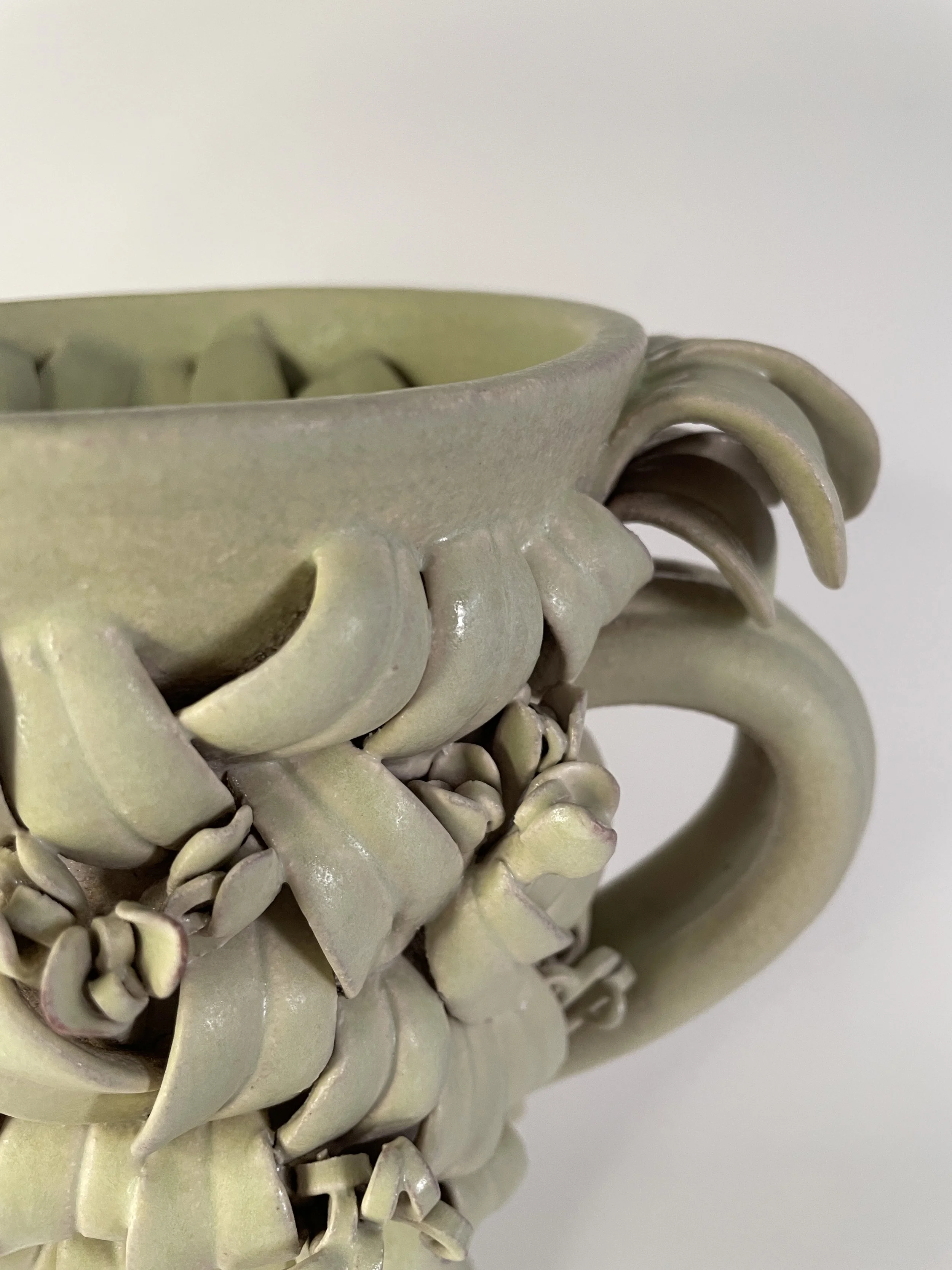 2AHowitt Euphorbia Bud Vase 2026.JPG