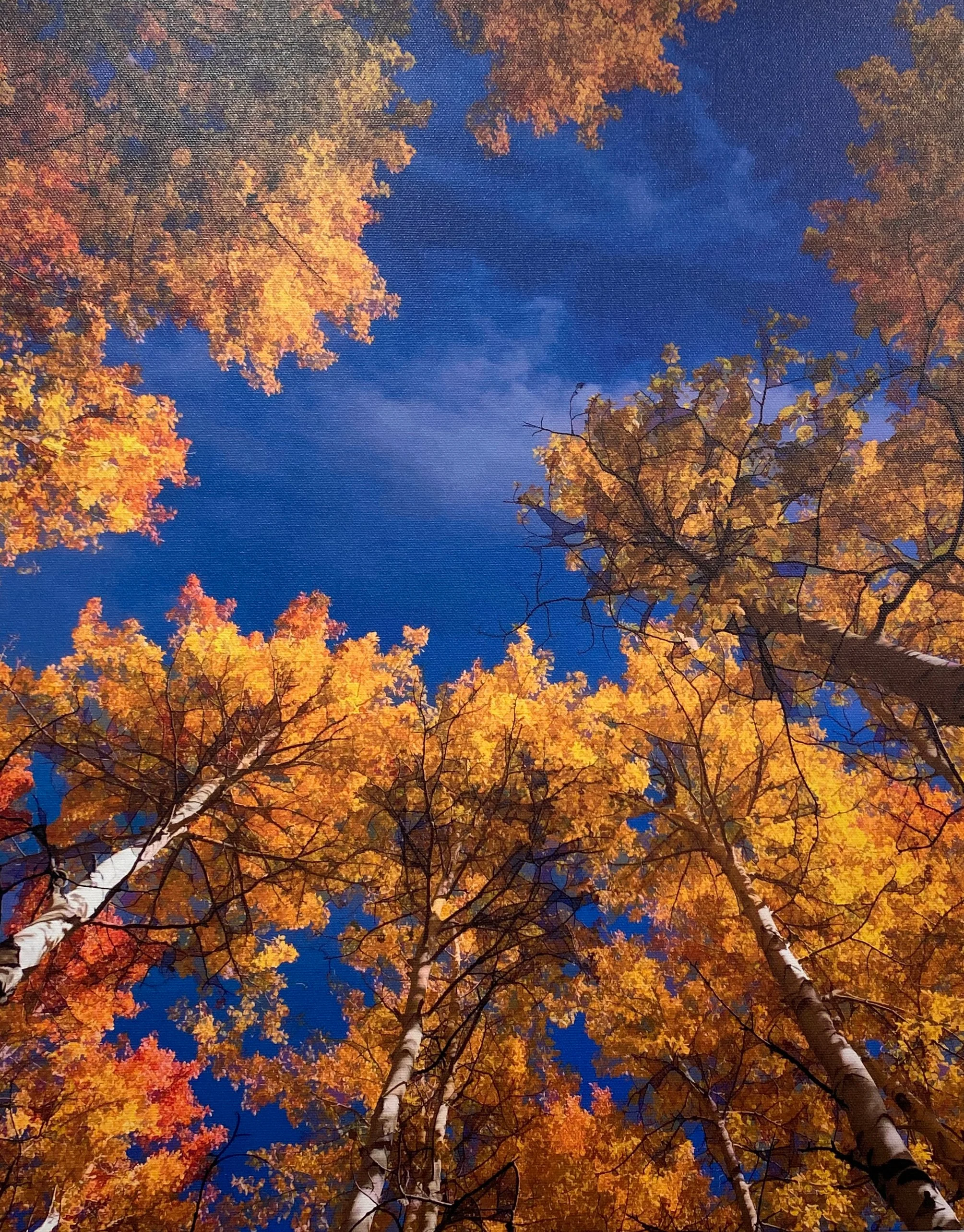 John Murphy "Golden Crowns"