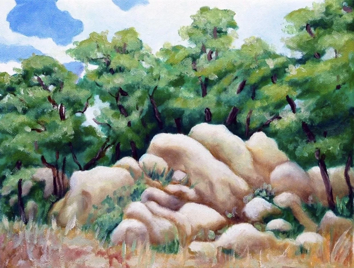 Demoree Anderson “Cathy’s Rocks”