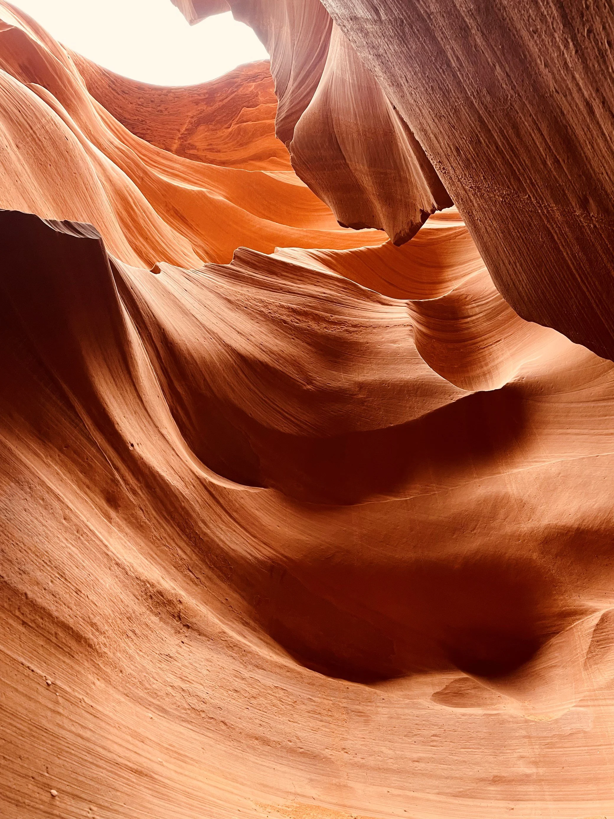Cozy Jelli “My Day in Antelope Canyon”, Chino Valley High School