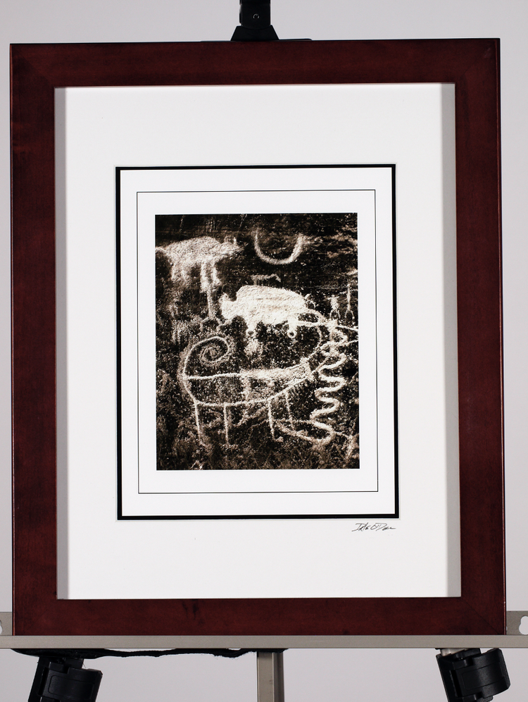 Nine Mile Canyon Animals