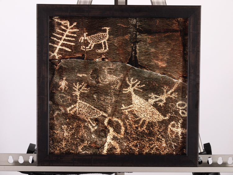 Sears Point Partial Panel