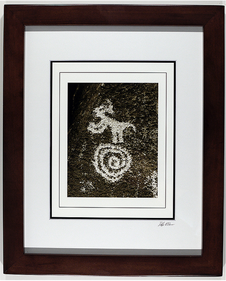 Zoomorph & Spiral, Sears Point, AZ