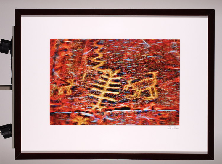 Abstract & Zoomorphs Moonflower Canyon, Utah