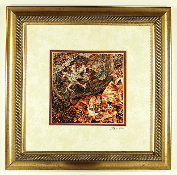 Prescott Lakes Zoomorph